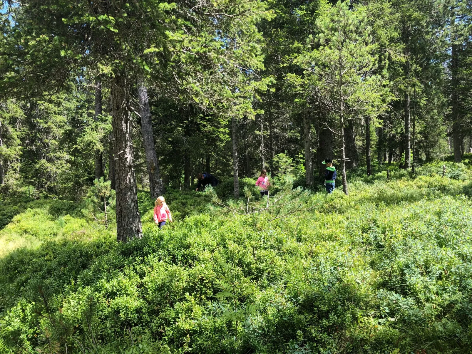 Sunny retreat-Outside