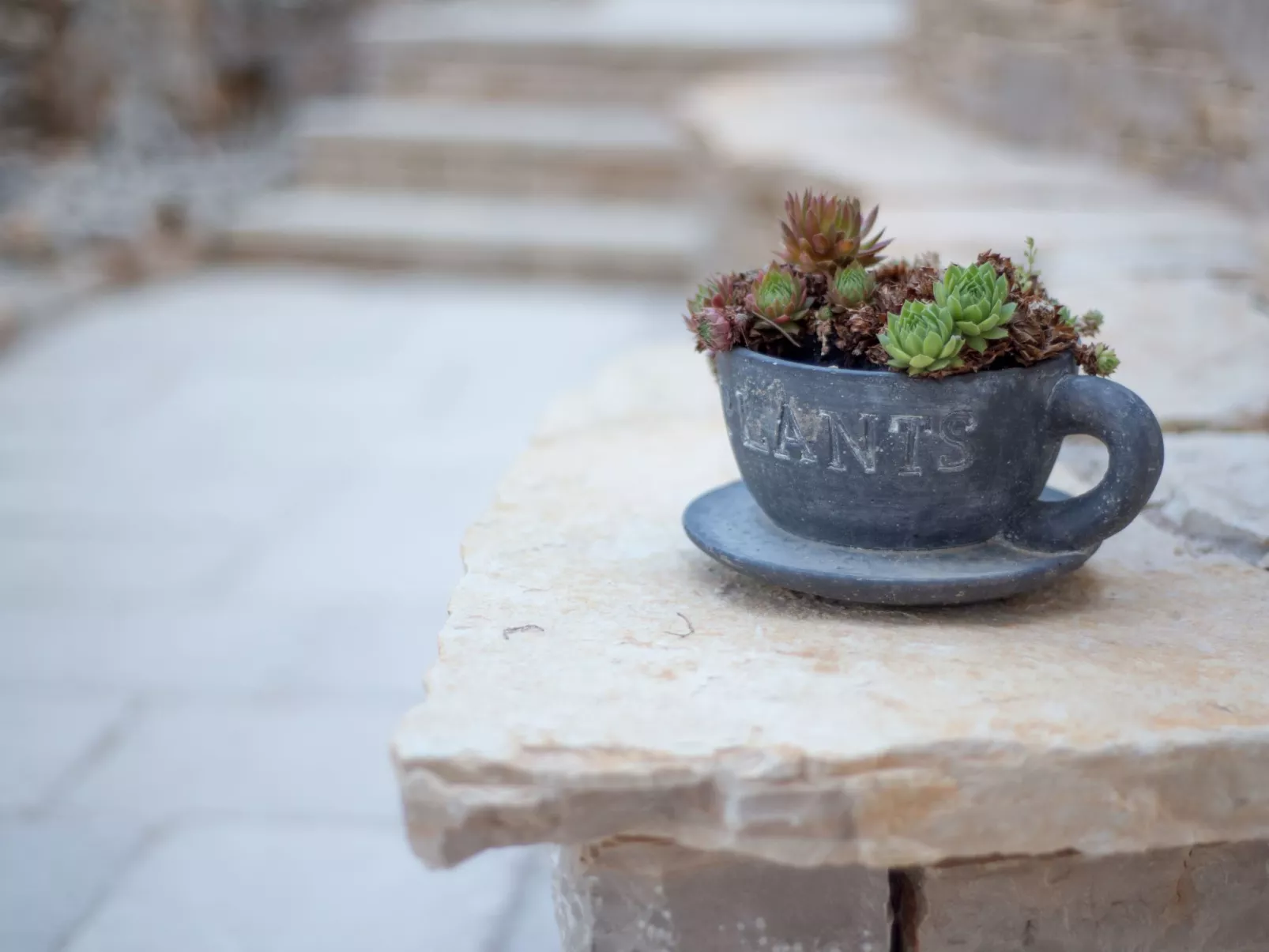 Wohnung für 4 Personen mit Whirlpool und Schwimmbad-Draußen