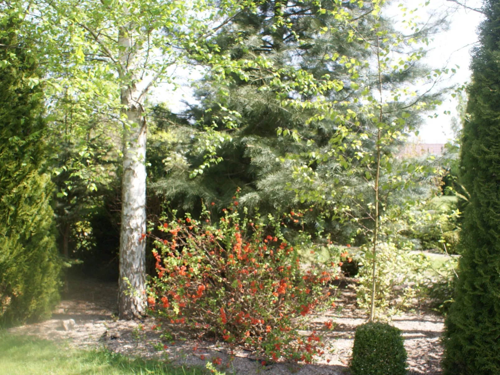 Meer, Landschaft, Stille - Ferienhäuser in den Gärten von Magra-Draußen