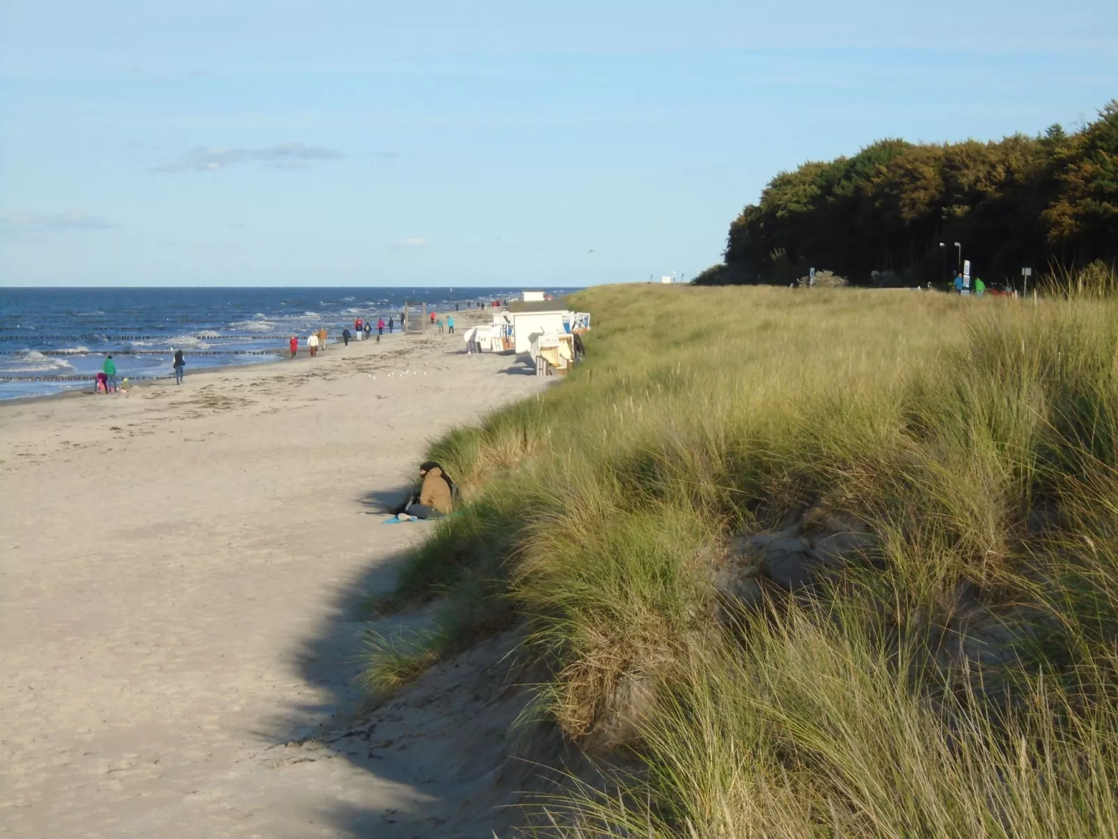 Komfortable Ferienwohnung in Zingst-Dehors