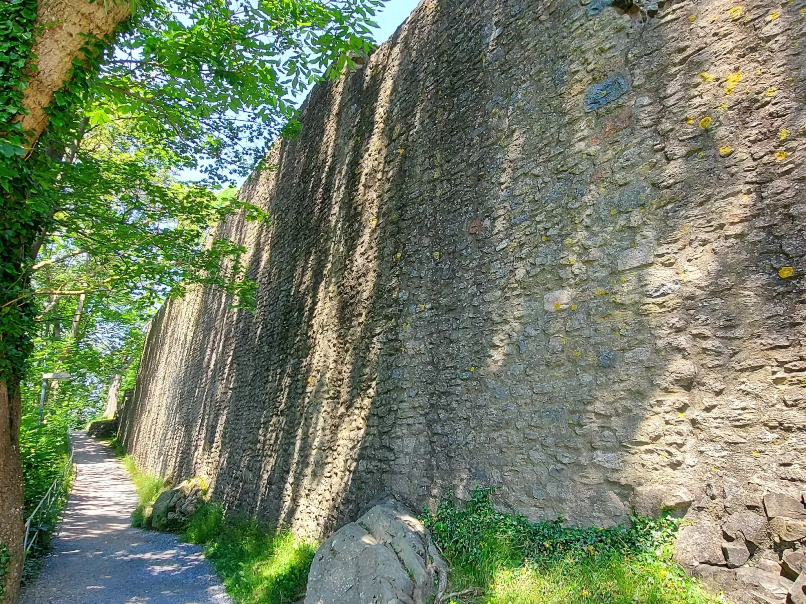 Wanderfalke II-Draußen