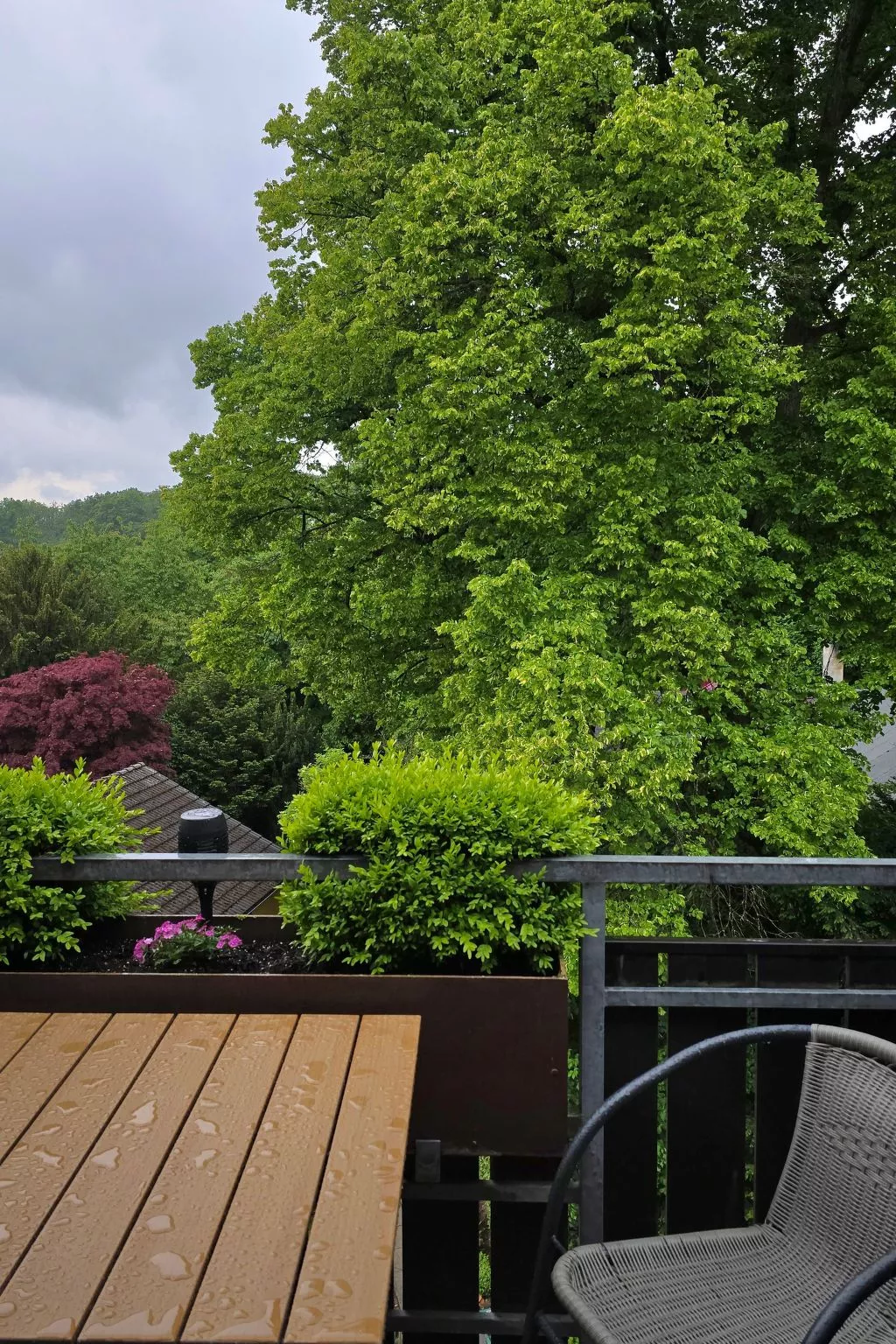 WALDLIEBE ♡-Dehors