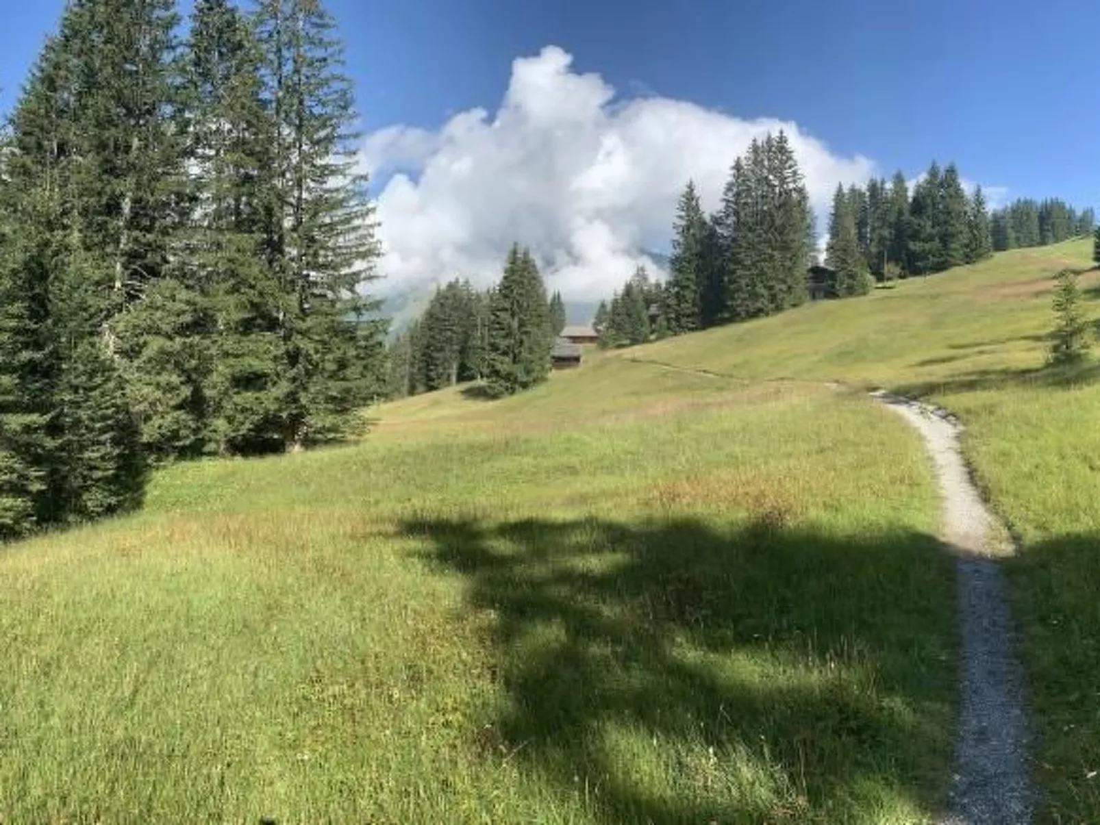 Chalet Bärgblüemli-Inside