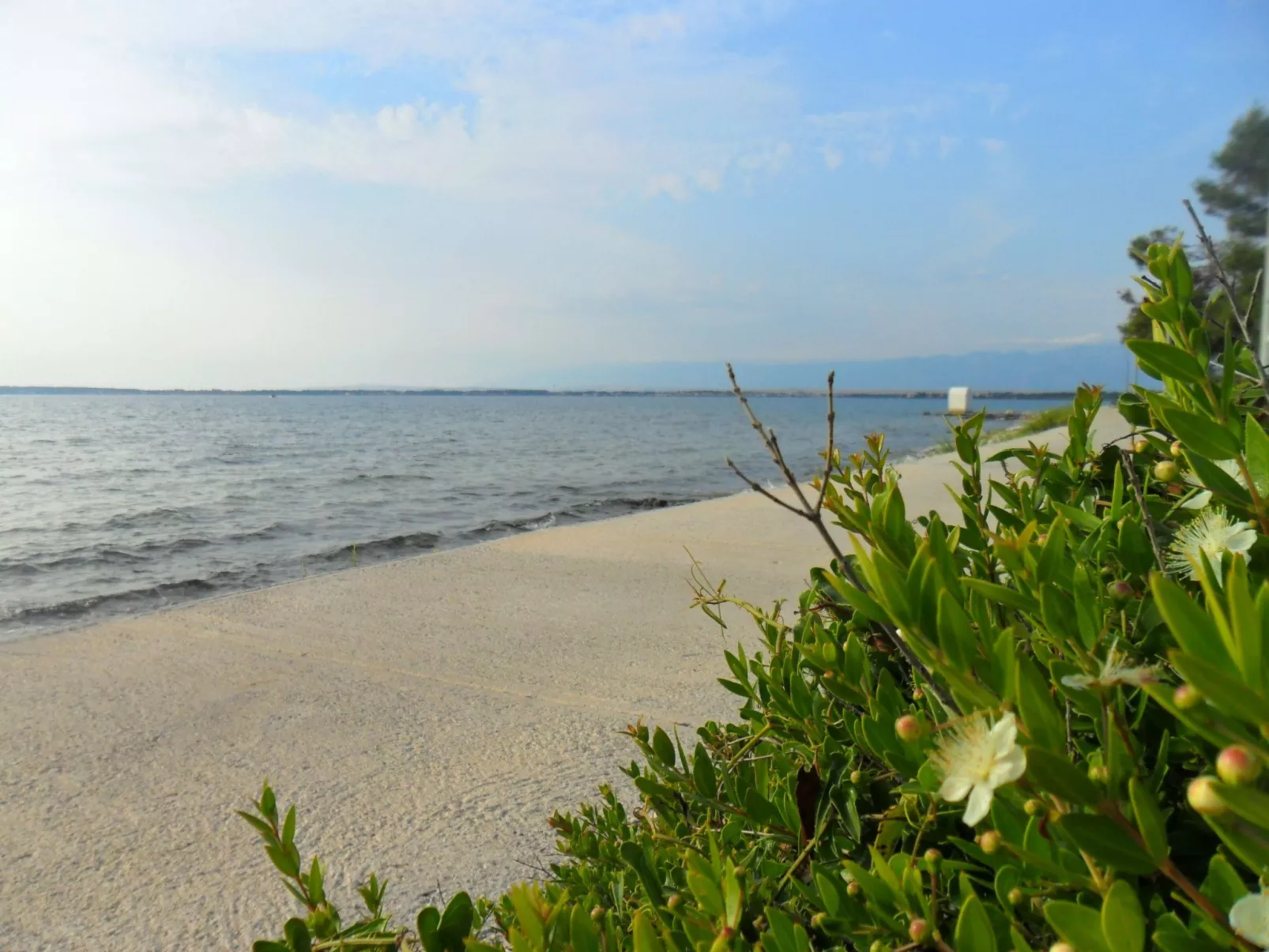 Wohnung Delfin mit Meerblick - TA Leut Agency-Dehors