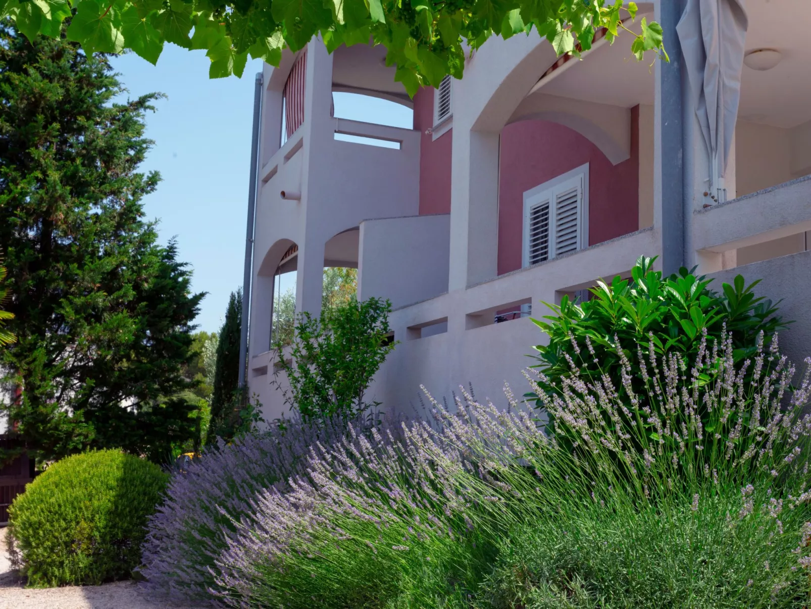 "Buka Calm VIIi-Inside