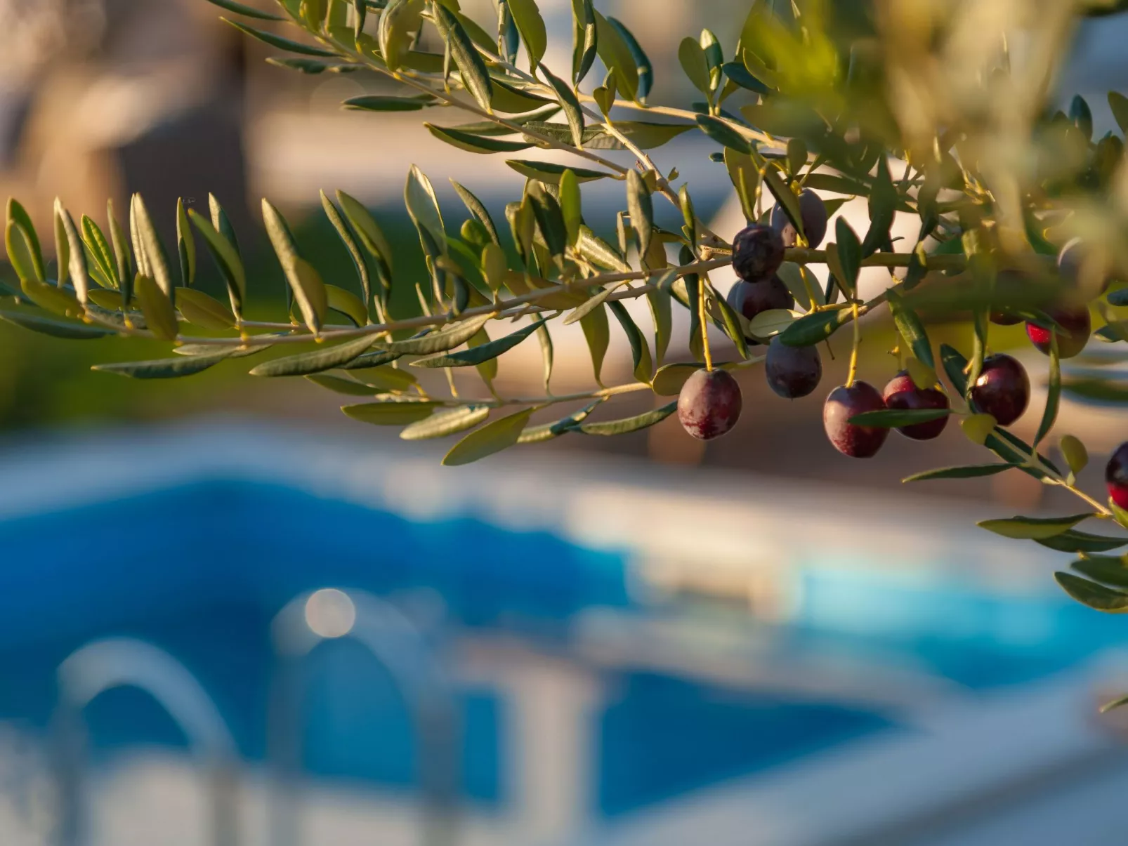 "Olive Garden"-Outside