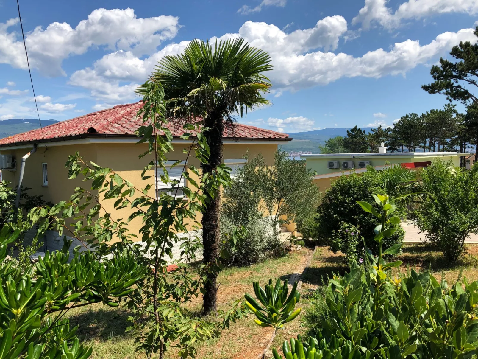 Mit grünem Garten und Meerblick - Outside