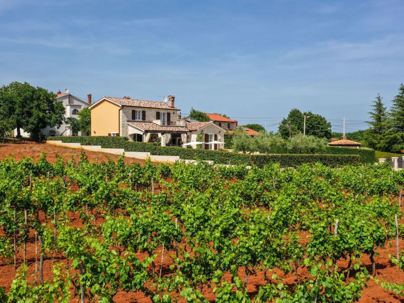 Villa Elizabet bei Porec mit Pool-Dehors