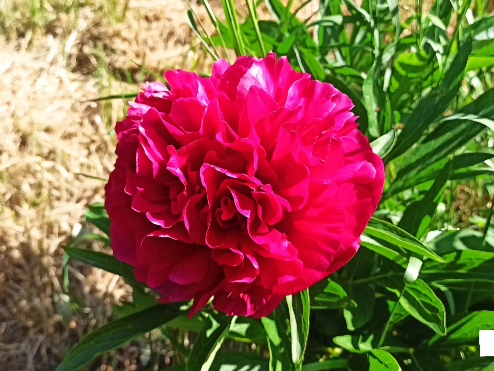 Authentisches Fachwerkhaus am Rande des Waldes-Dehors