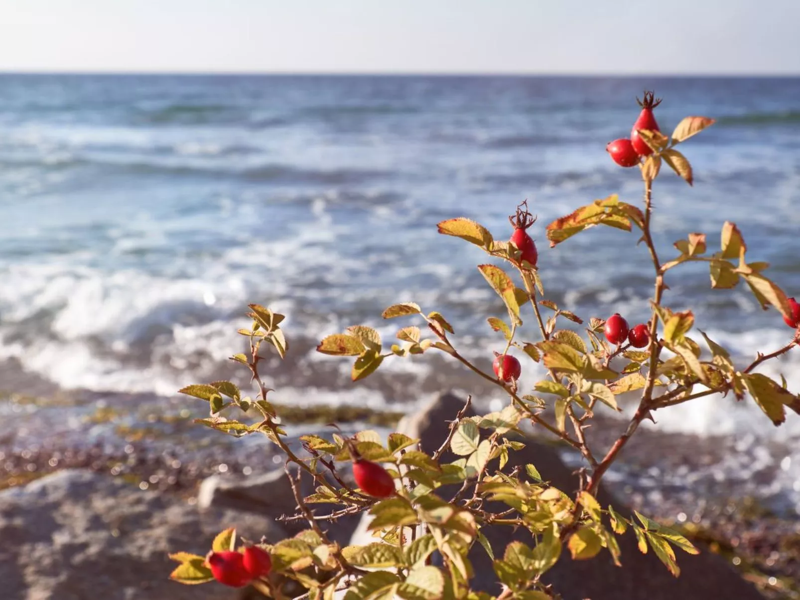 Dat Lütje 516-Inside