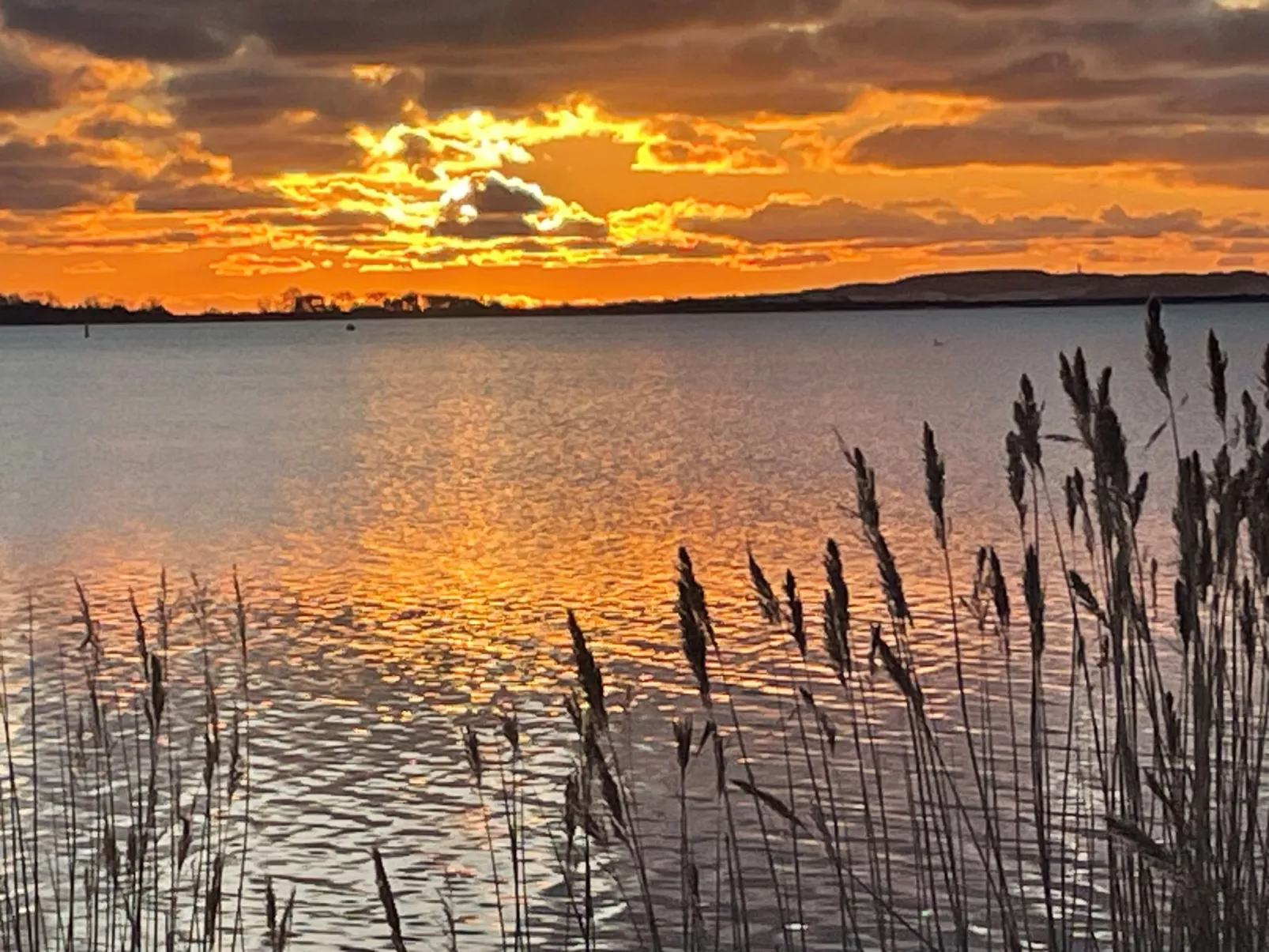 Deichhaus St.Barbara-Dehors