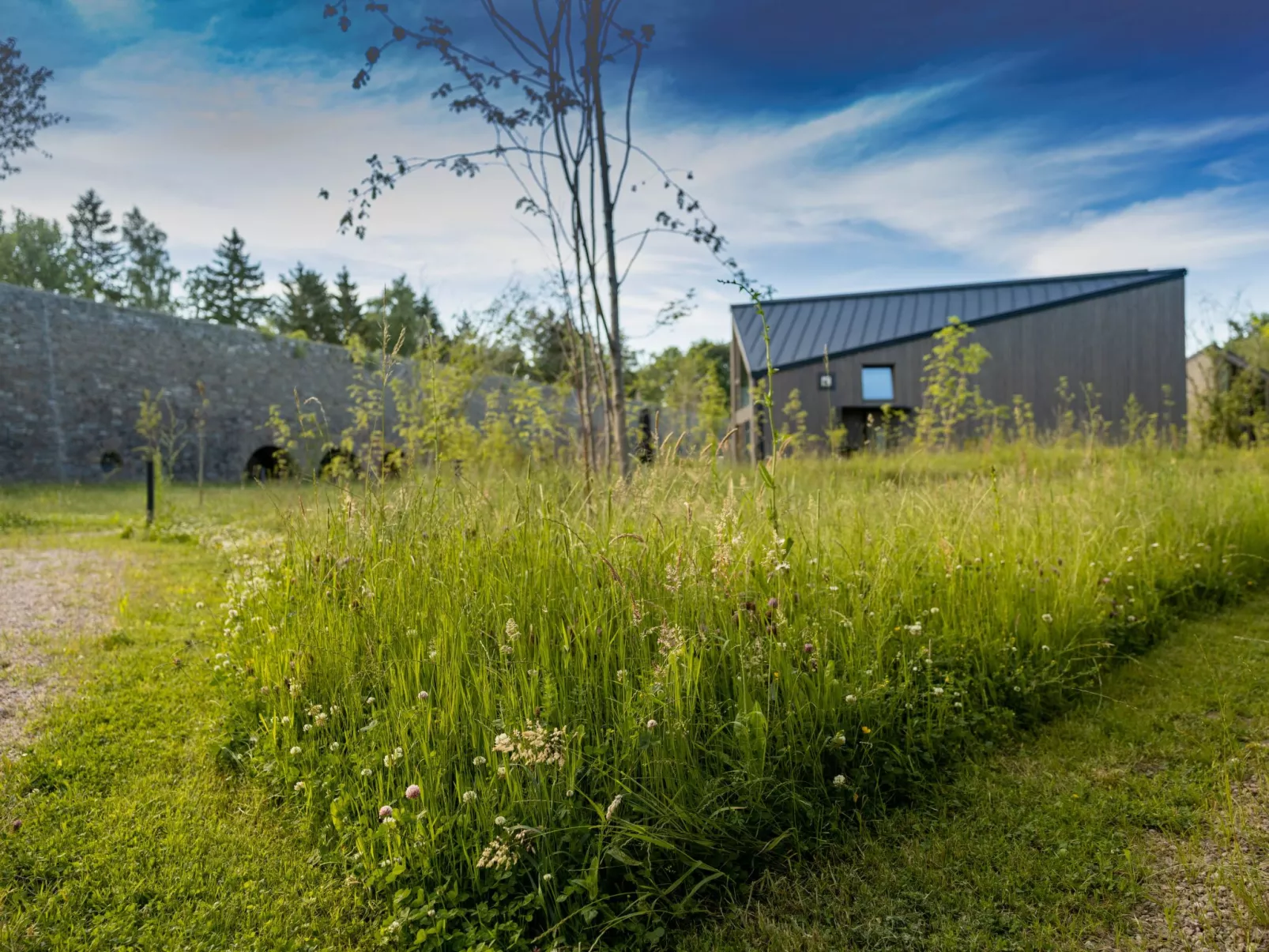 (VIII) Cabin Cozy - Dehors