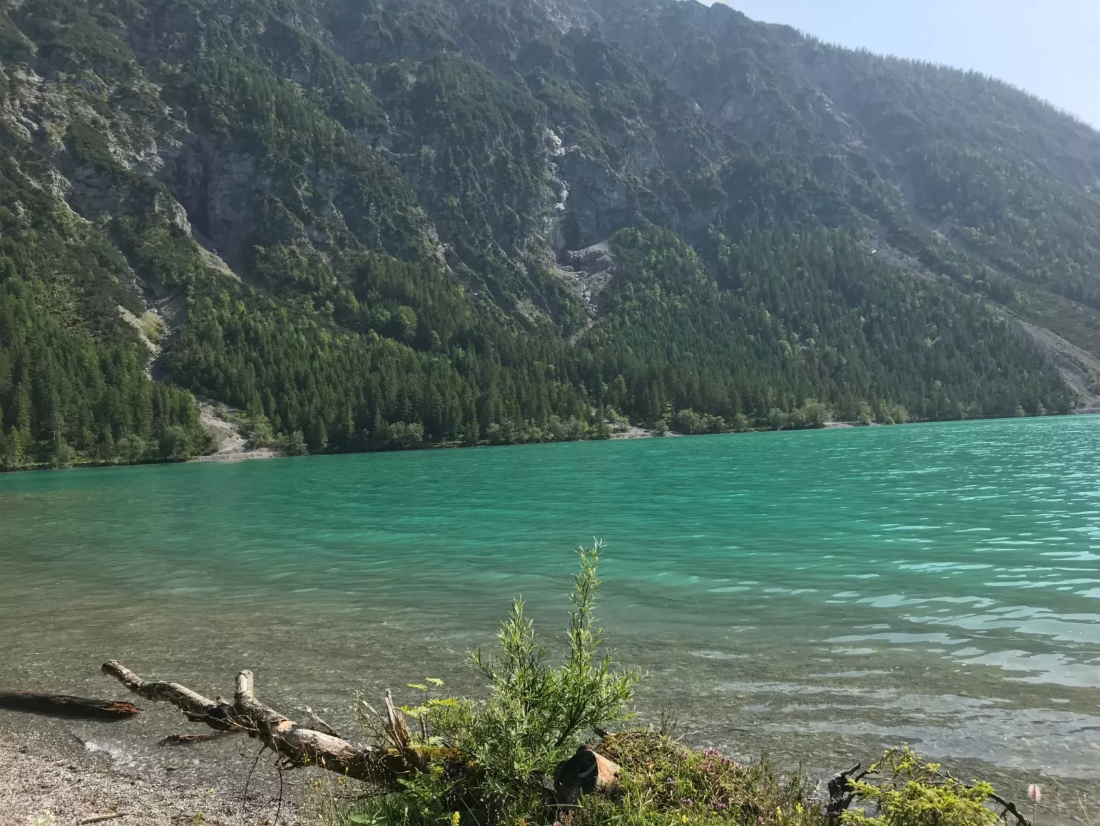 Pony-Ziegen-Hasen-Ranch in Bichlbach-Image-tags.info