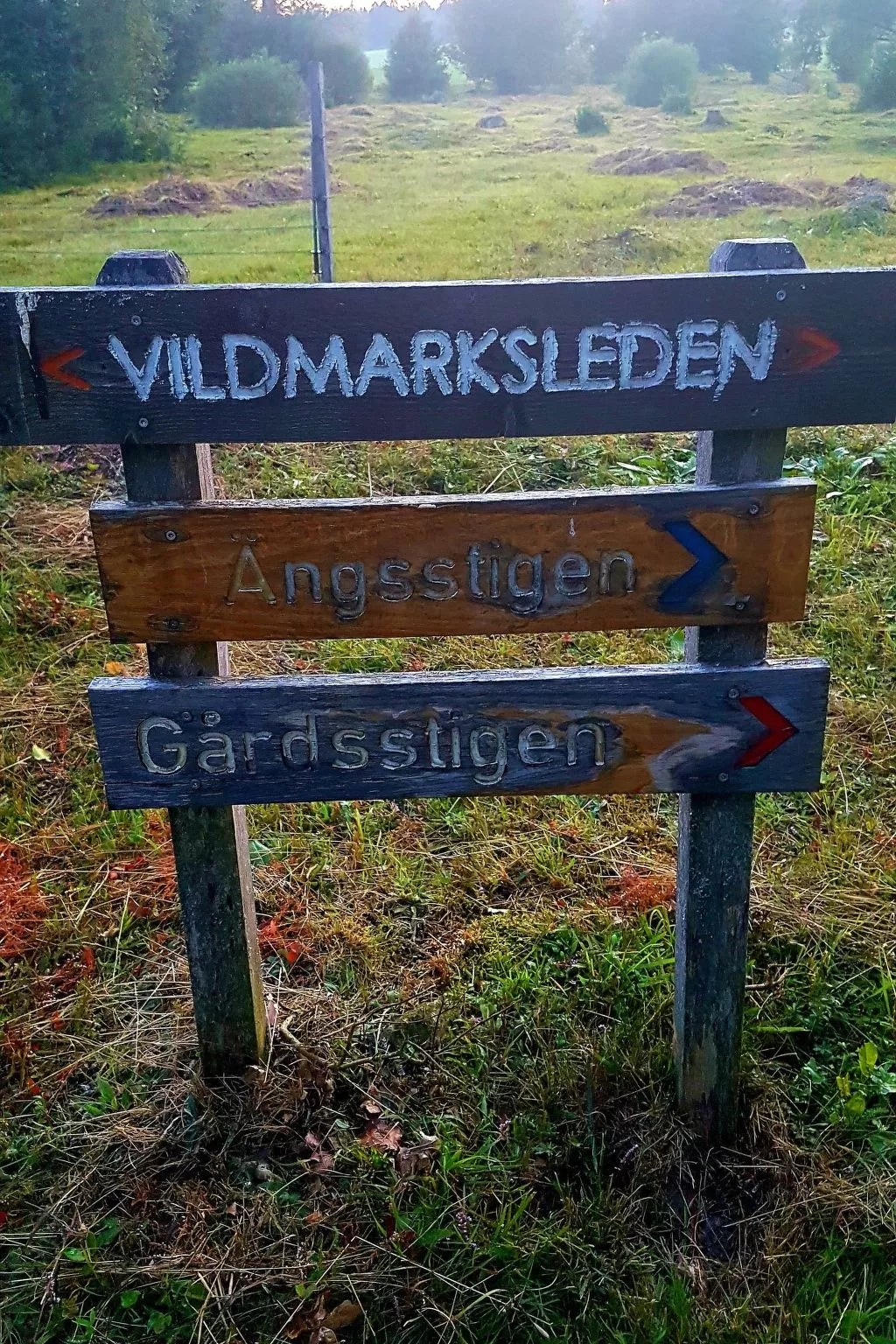 Villa Bullerbü-Draußen