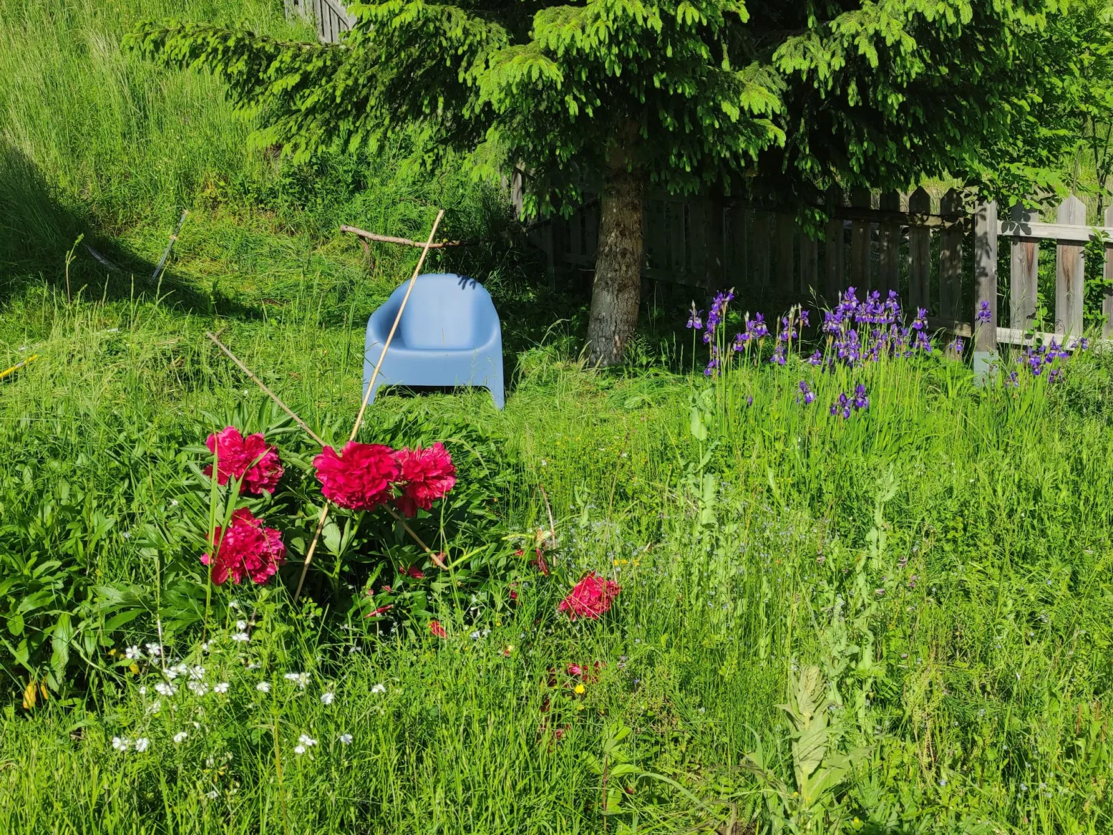Sonniges Berghaus, ruhige Lage, phantastischer Weitblick-Outside