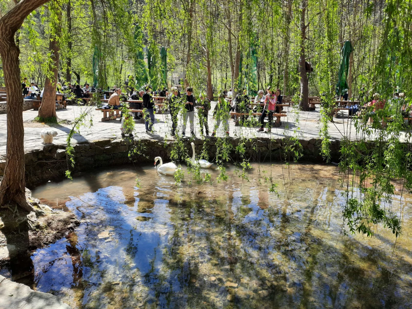 Wohnung mit Blick auf das Wasser-Umgebung