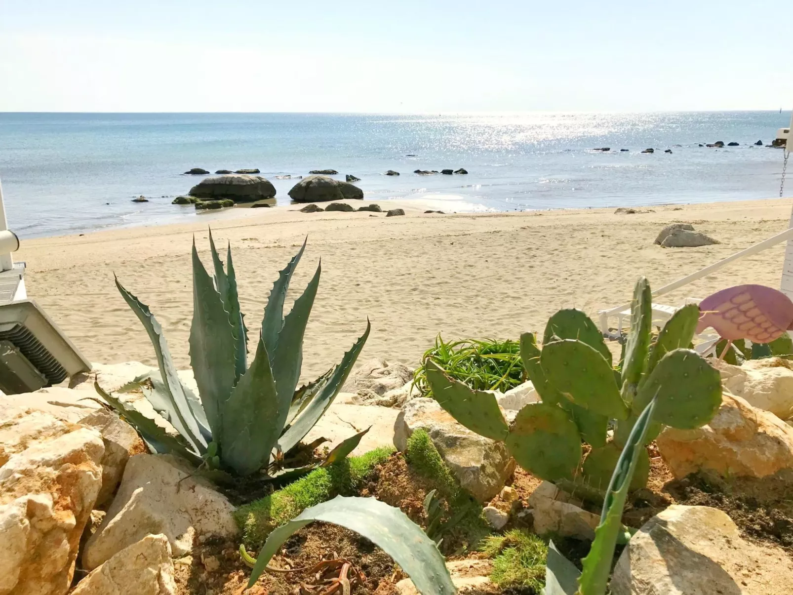 Vesna Peovic-Draußen