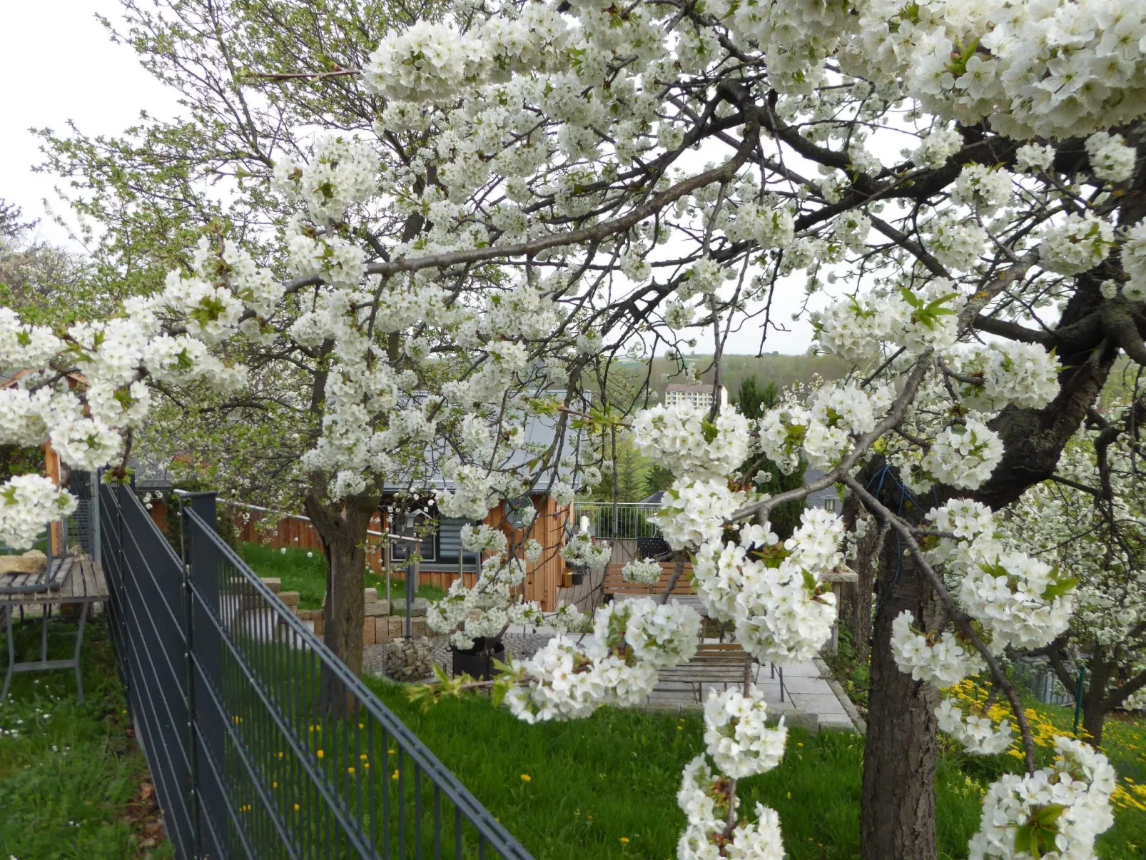 Teufelsmauerblick-Dehors