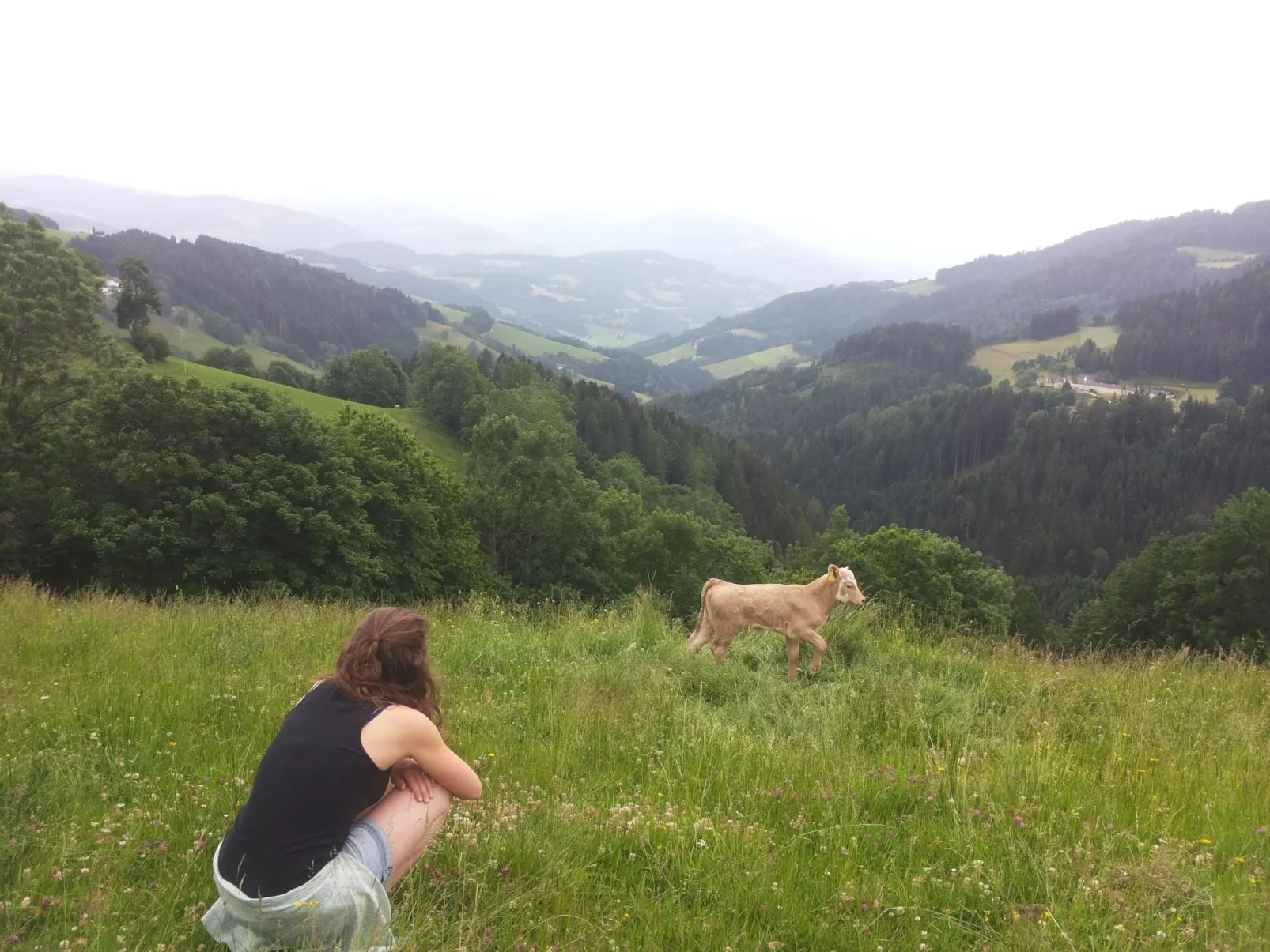 Alm-Ferienhaus-Dedans