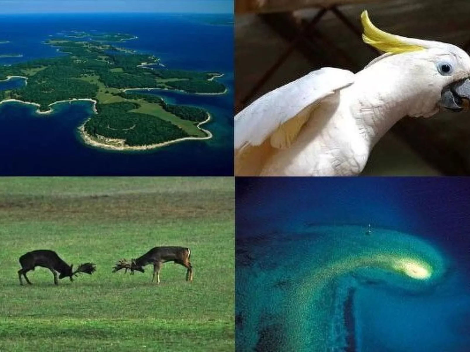Villa Grofica, beheizter Pool, Taverne, Strandnähe-Inside