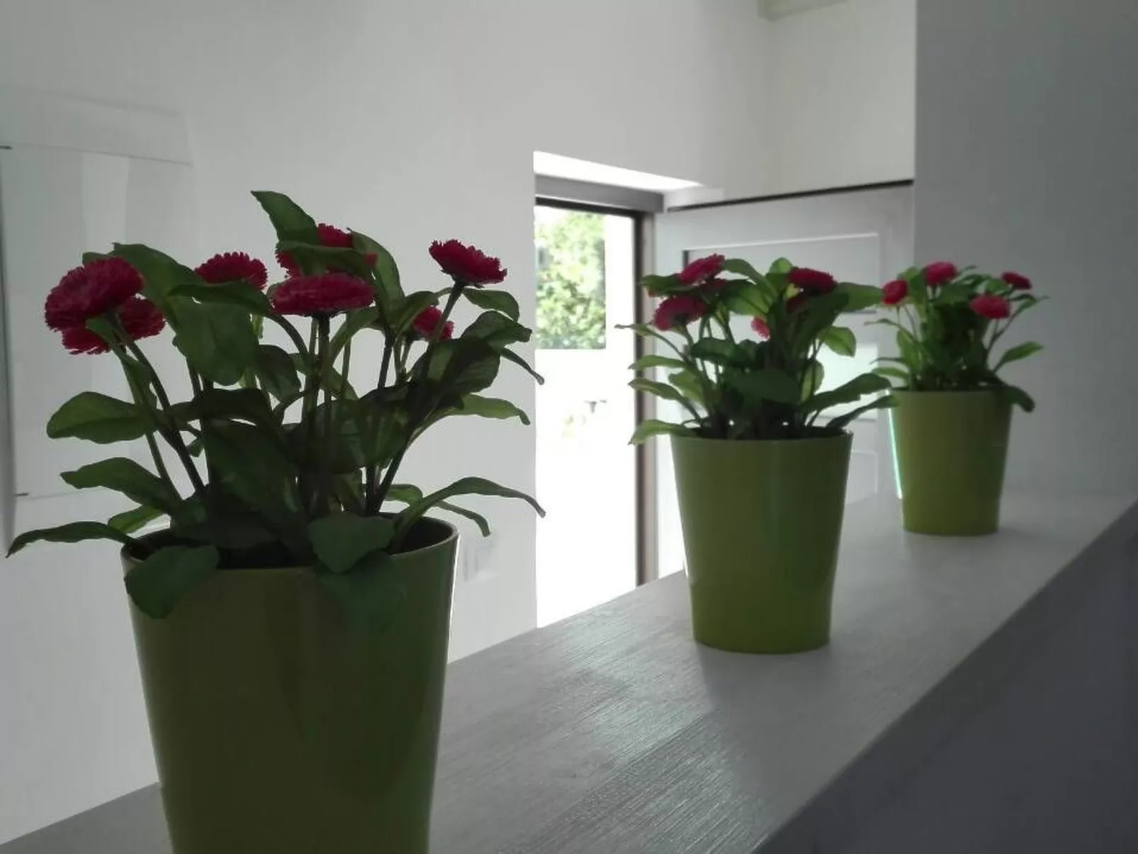 Wellness und Spa Villa Stella, in der Nähe von Stränden - Meer-Inside