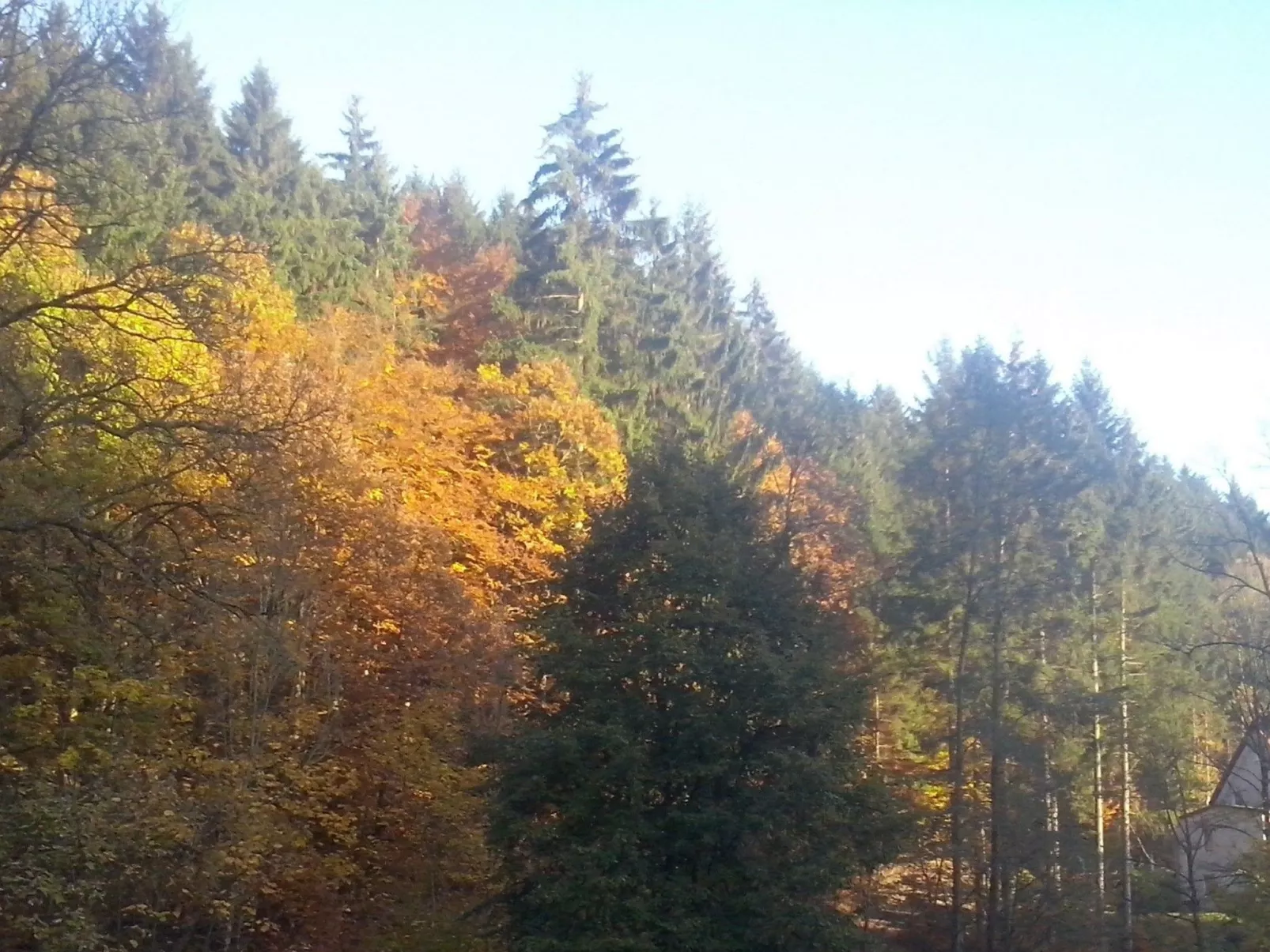 Appartement in Steina mit Terrasse und Garten - Outside