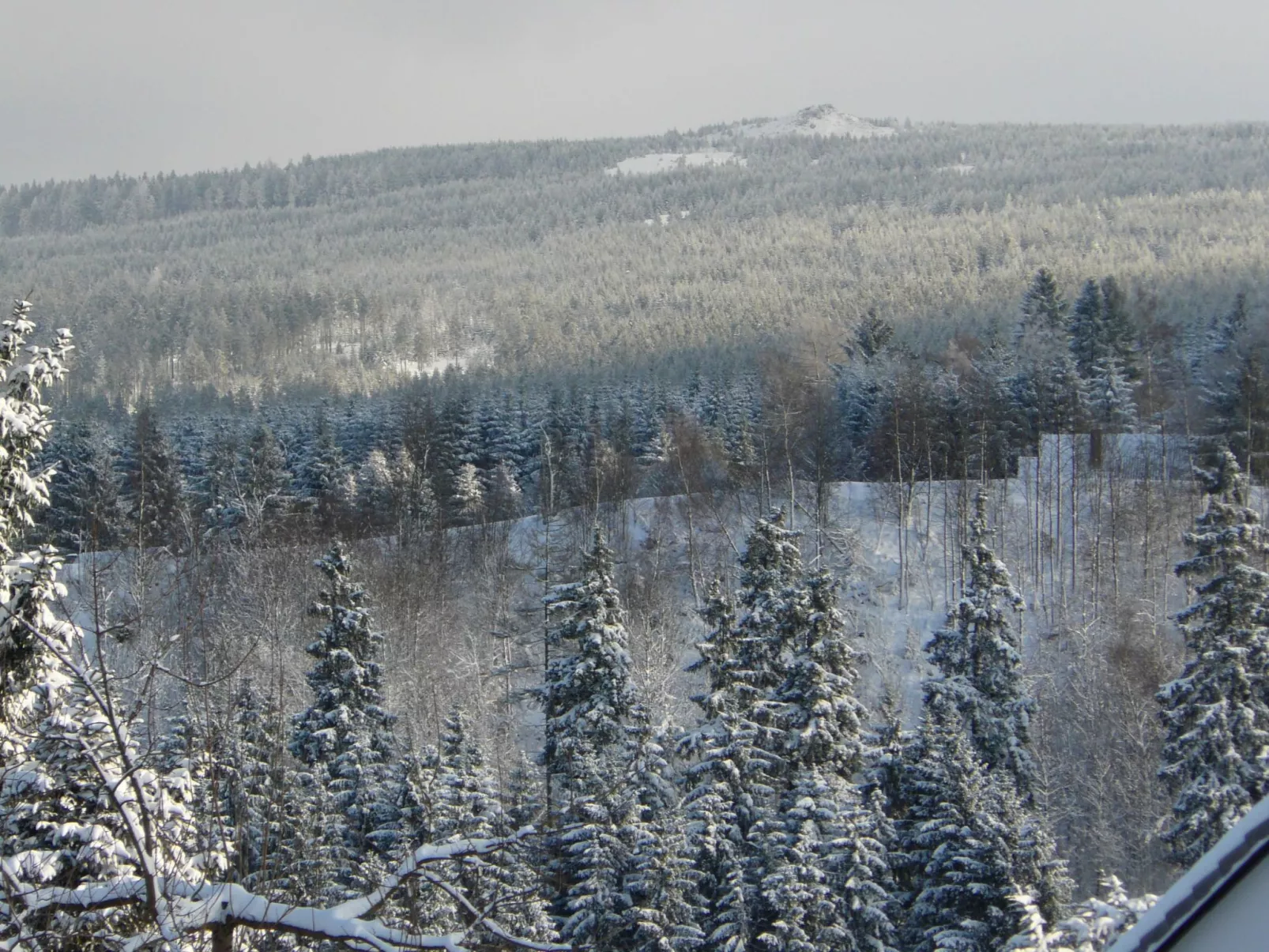Vier Jahreszeiten 6-Outside