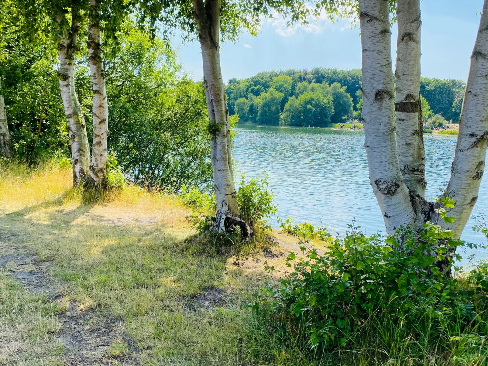 Bungalow Waldglück-Outside
