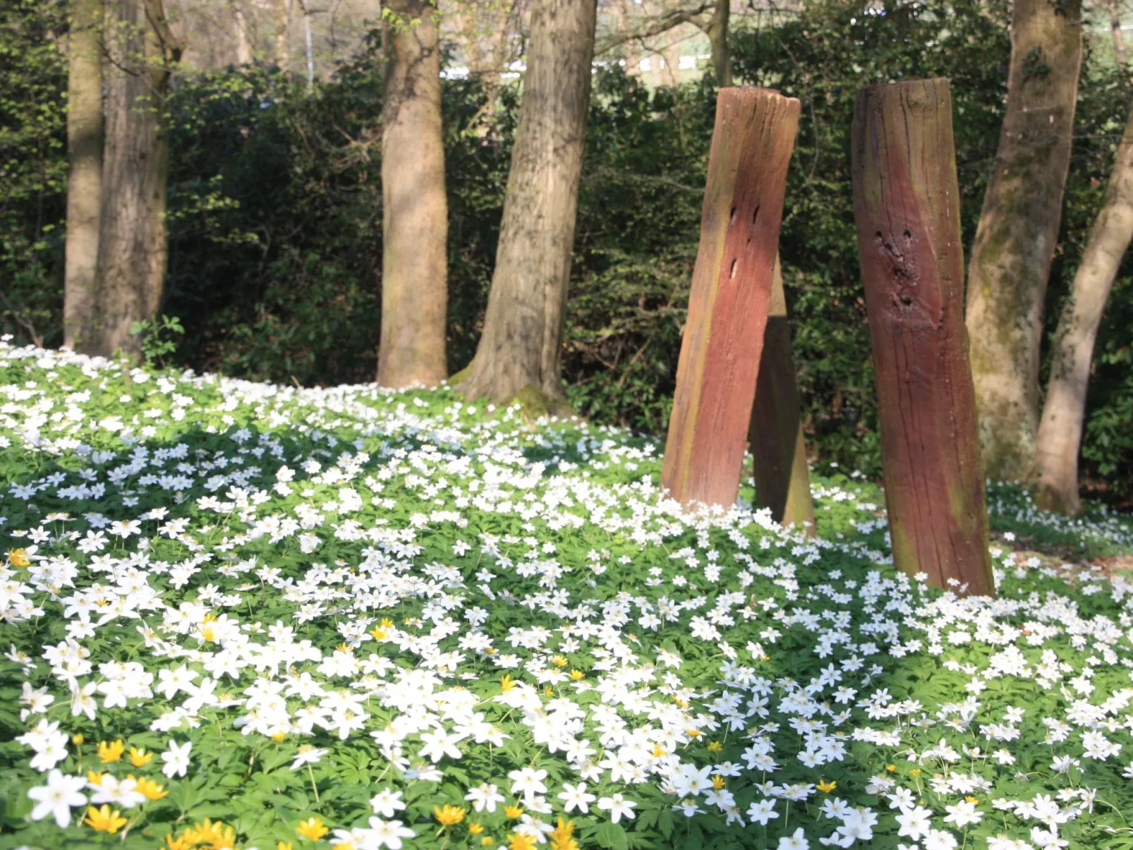 Wohlfühloase für Natur- und Gartenliebhaber-Dehors