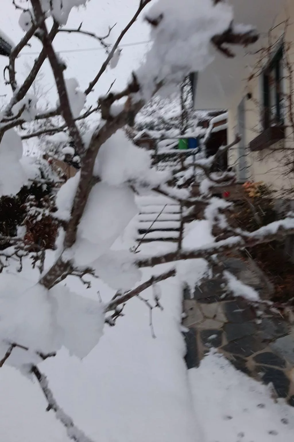 Haus Bernkogelblick in Goldegg-Draußen