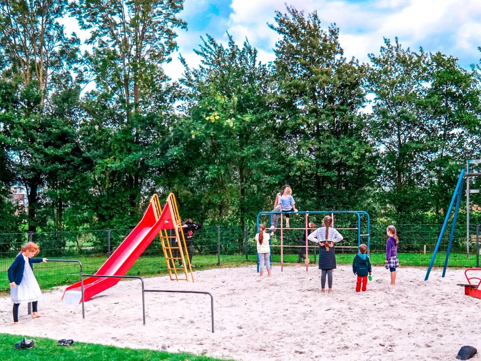 158 Schafssicht-Draußen