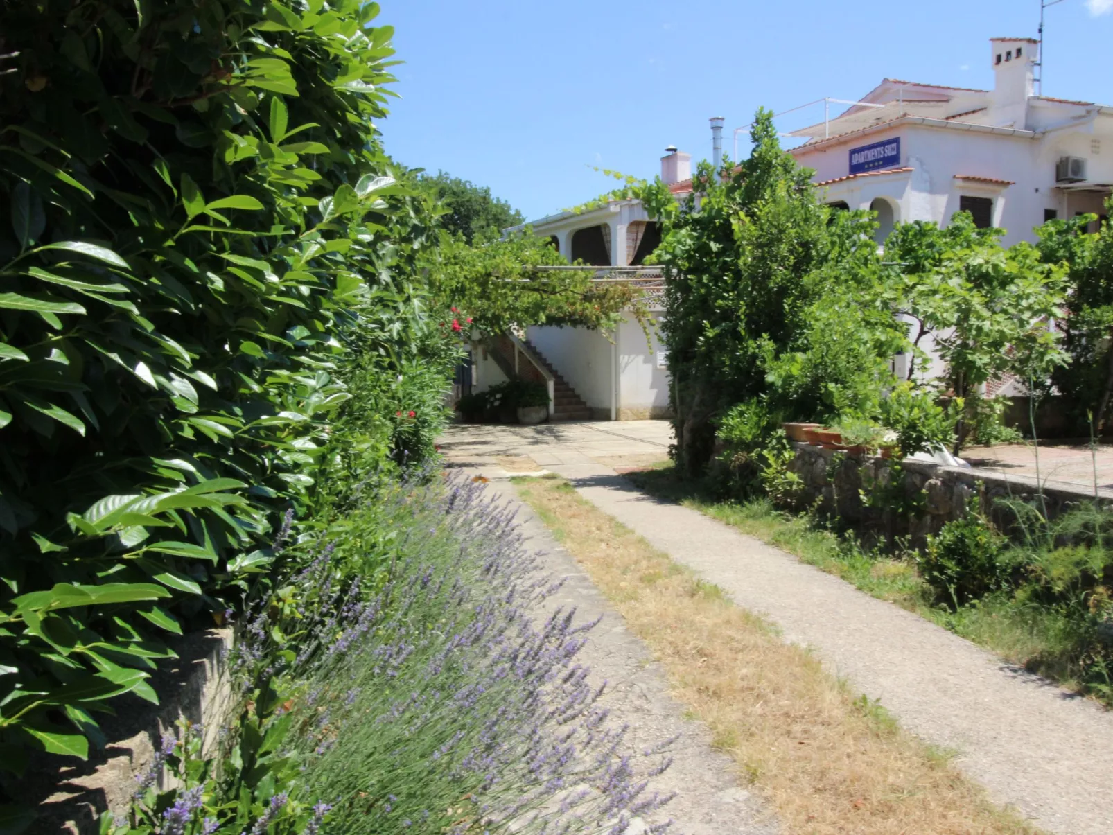 Apartment Andjela-Inside