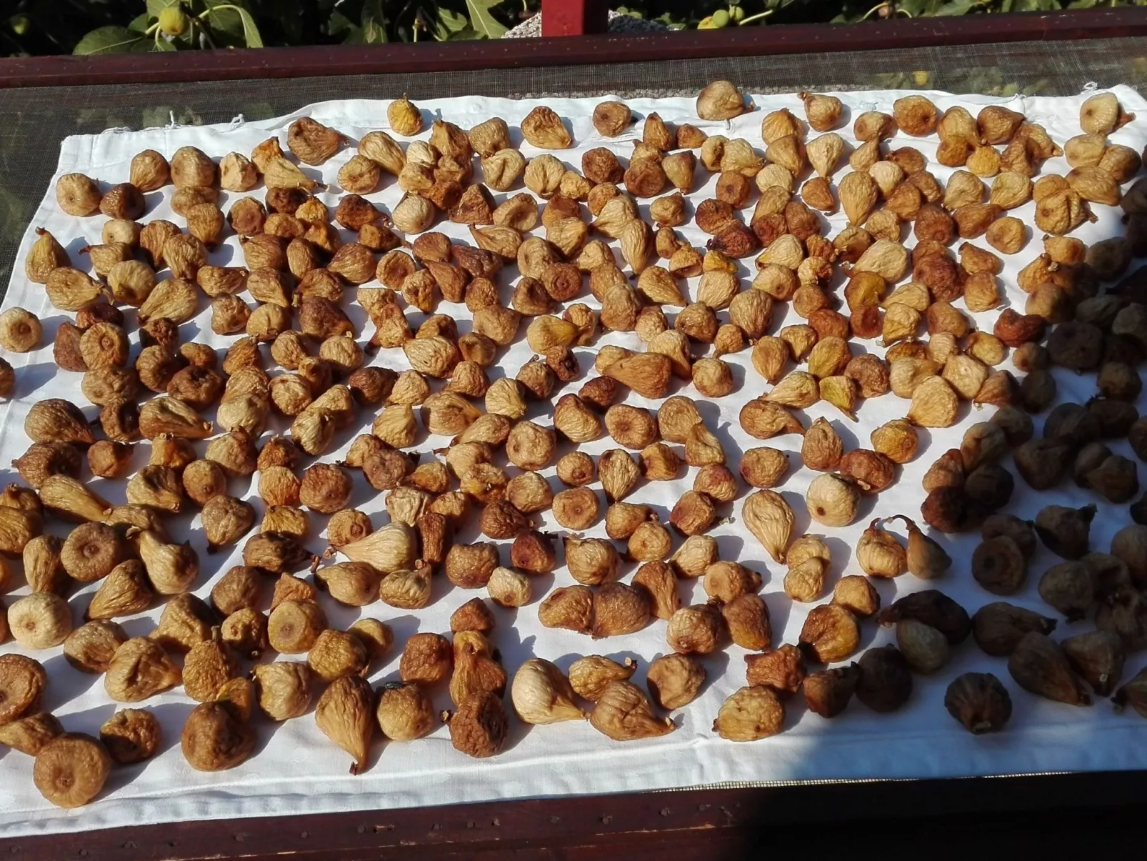 Wohnung mit Balkon und Meerblick-Drinnen