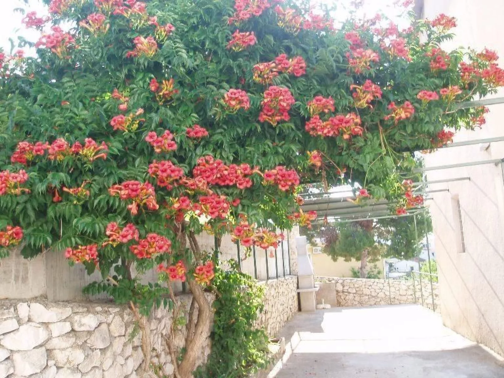 Mit Balkon und herrlichem Meerblick-Image-tags.info