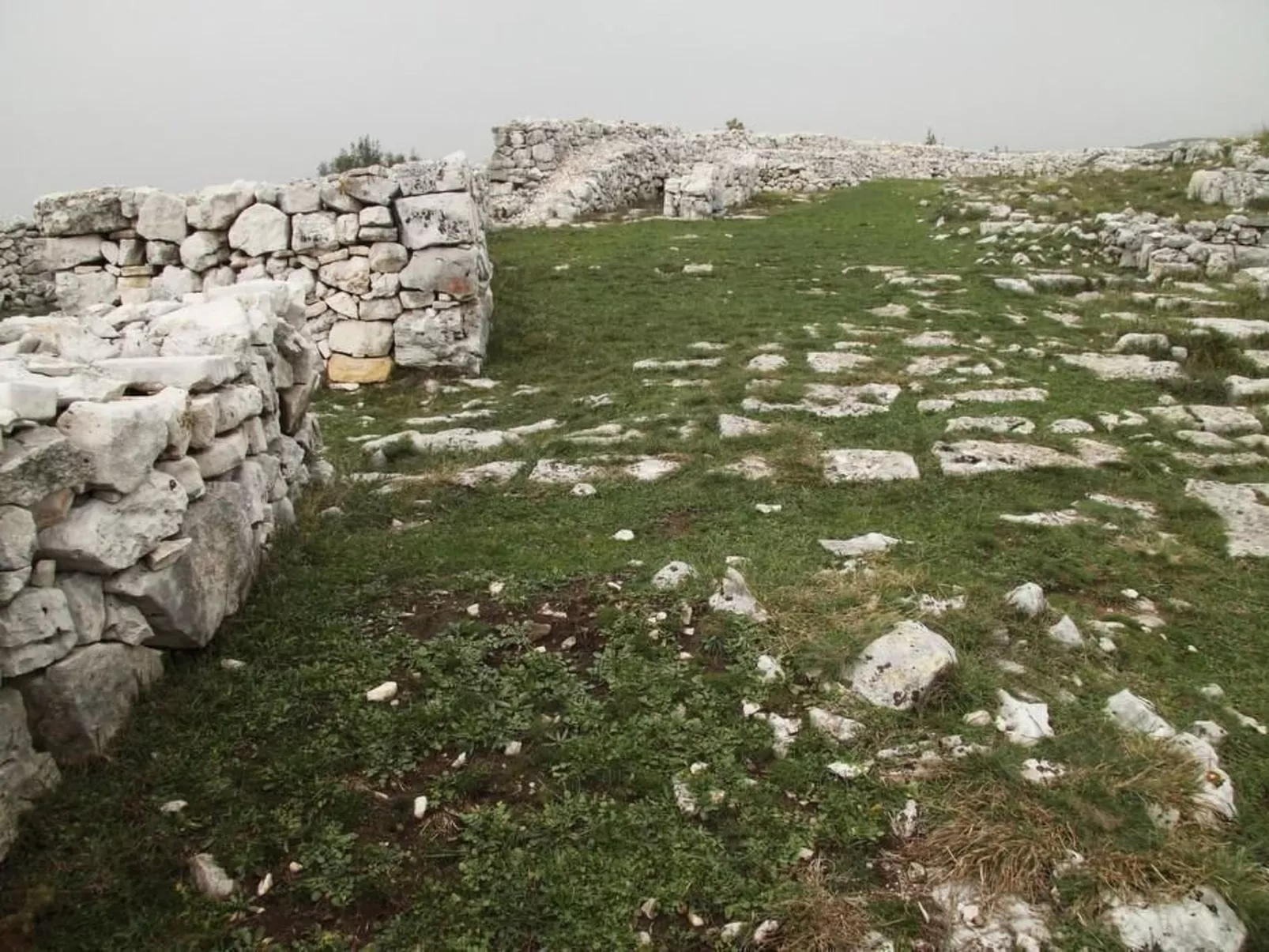 "Gemütlicher Garten" mit Terrasse-Draußen