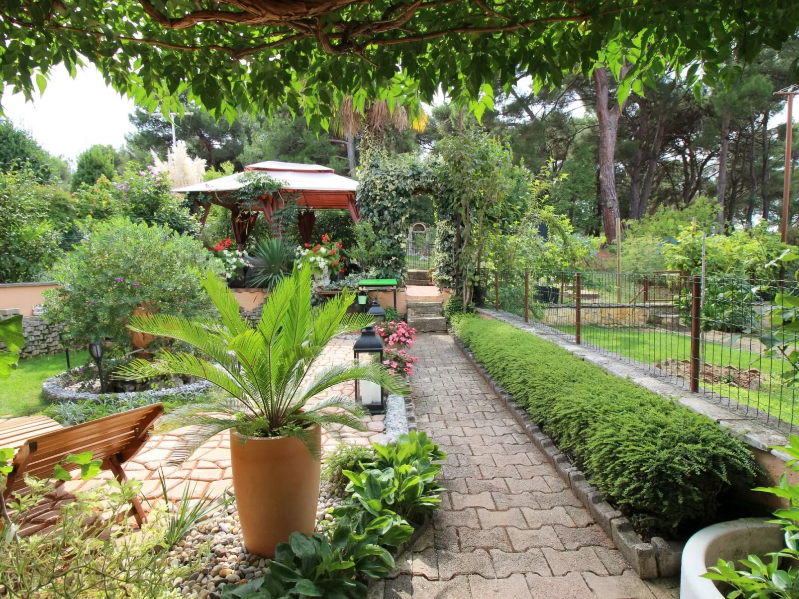 Bella-Image-tags.info