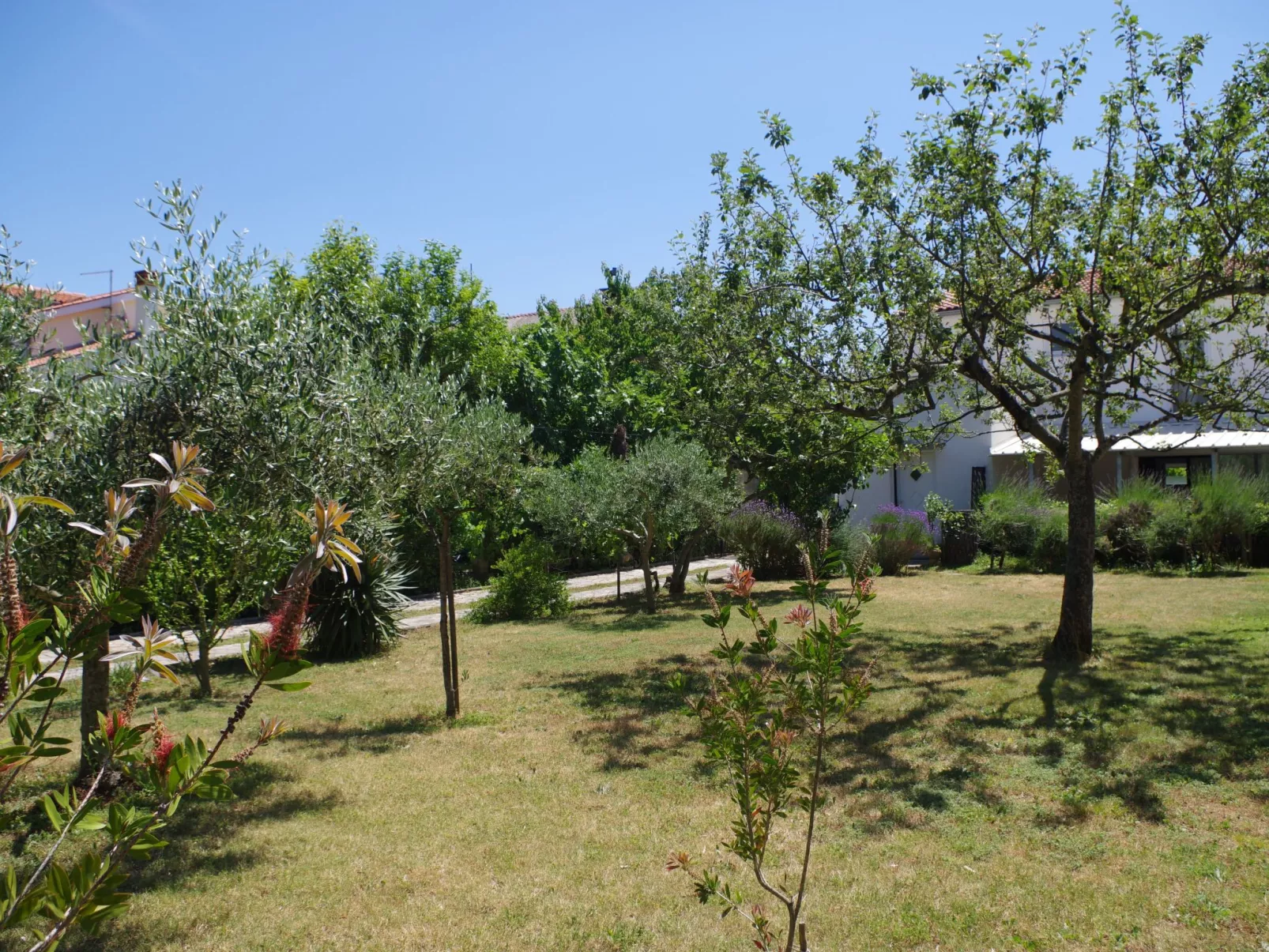 In Premantura-Draußen