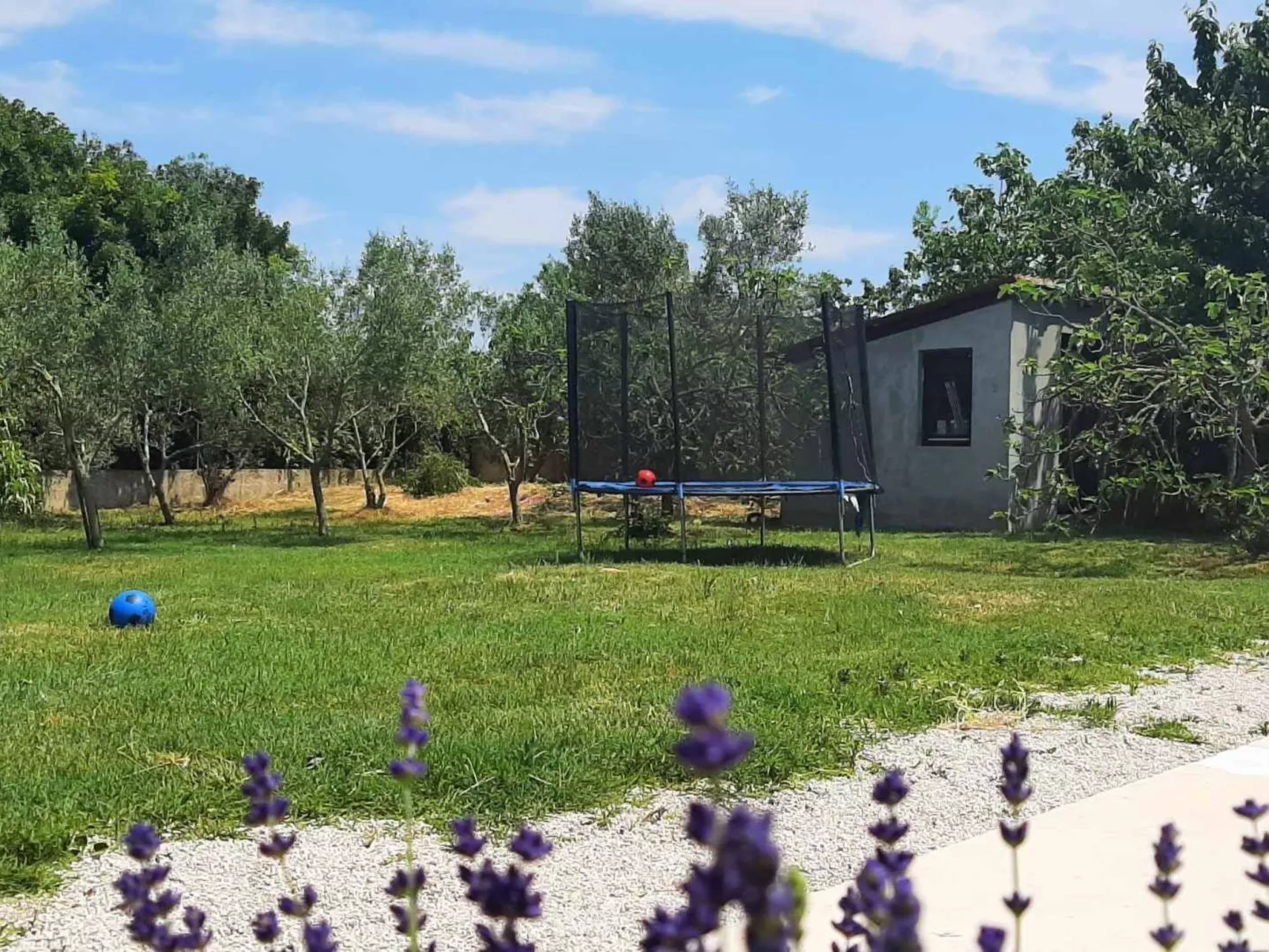 AQUA mit Pool-Dedans