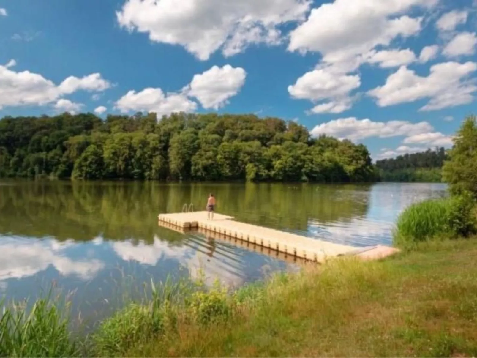 Charmantes Ferienhaus Iris im Waldecker Land-Inside