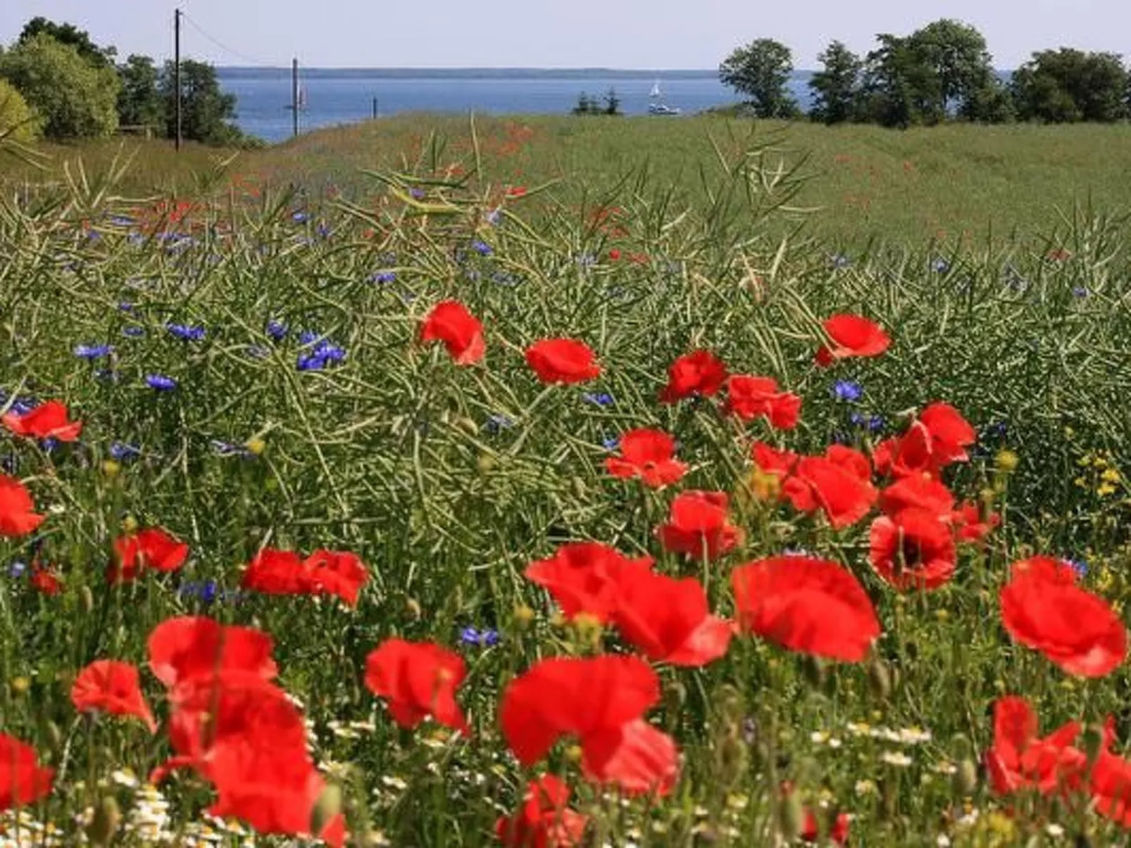 Müritzblick-Outside