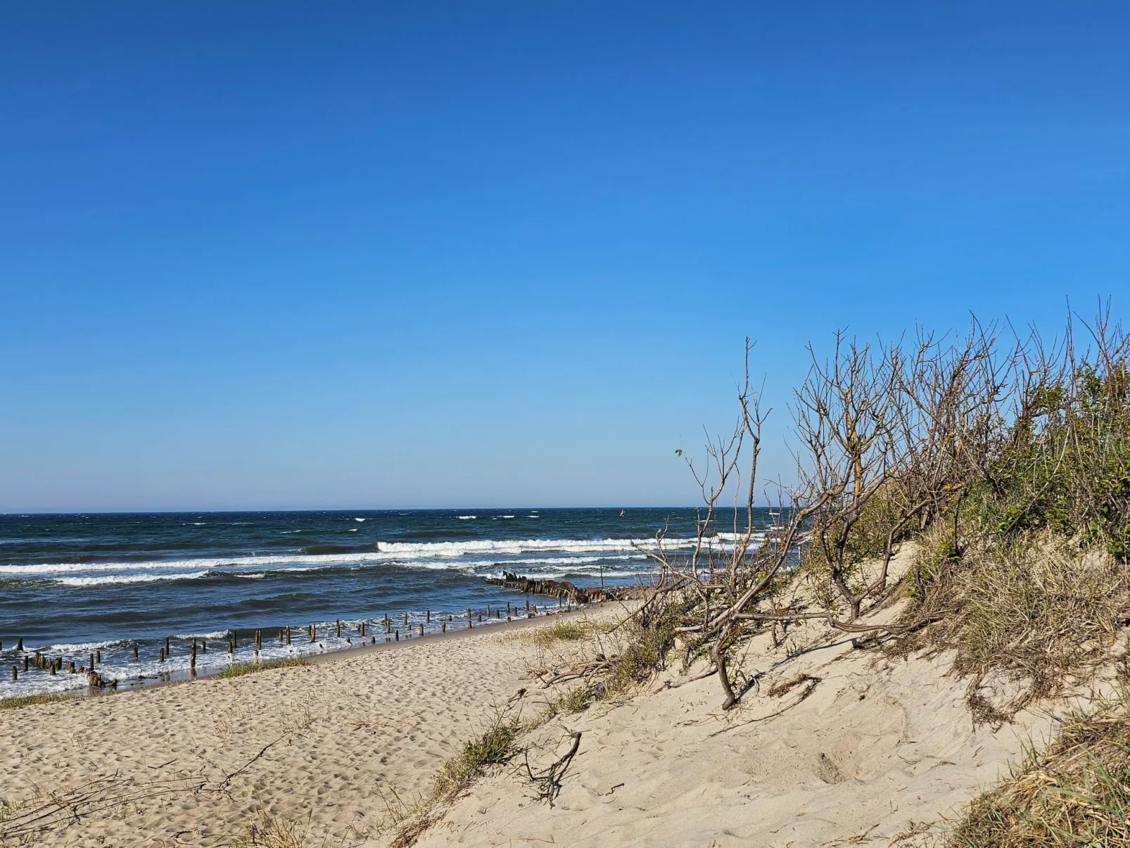 Apartment am Strand-Image-tags.info