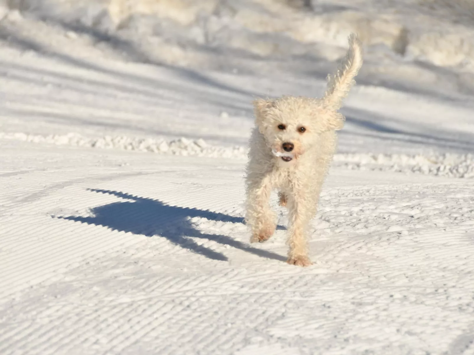 Mit Spielplatz, Garten und Fernsicht-Dehors