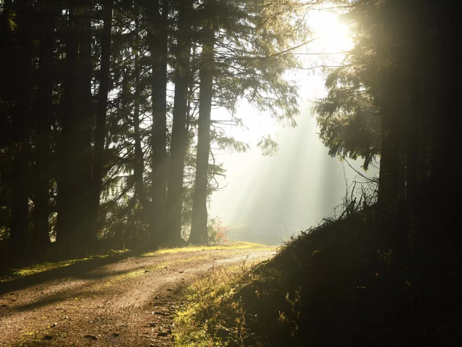 Wohnung in Hohegeiß mit Grill und Garten-Draußen