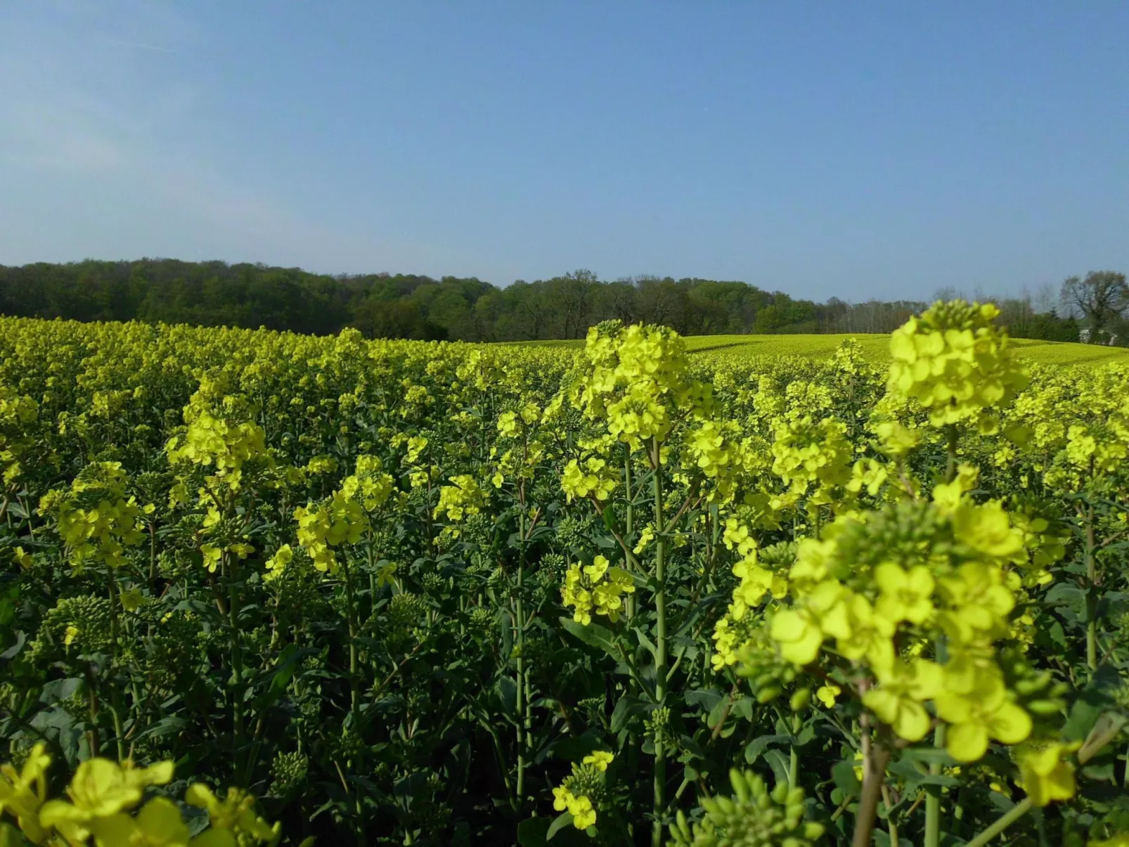 Charmante Fewo mit Großem Balkon-Image-tags.info