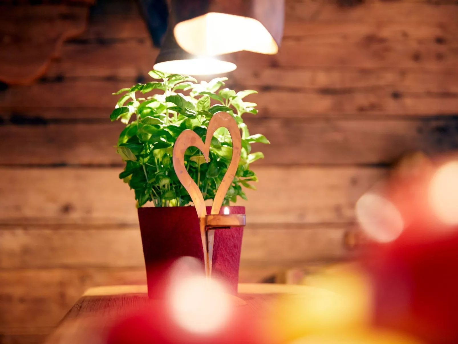 Im Almdorf in Flachau-Dehors