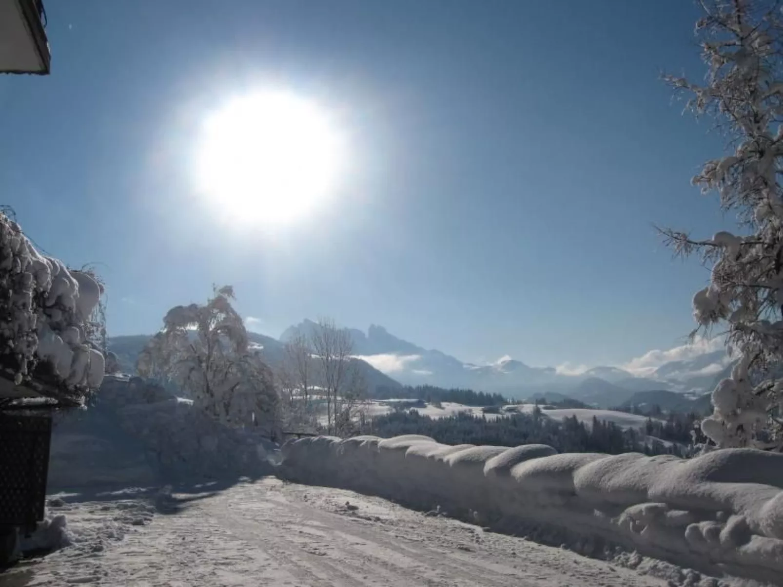 Bernstein-Image-tags.info