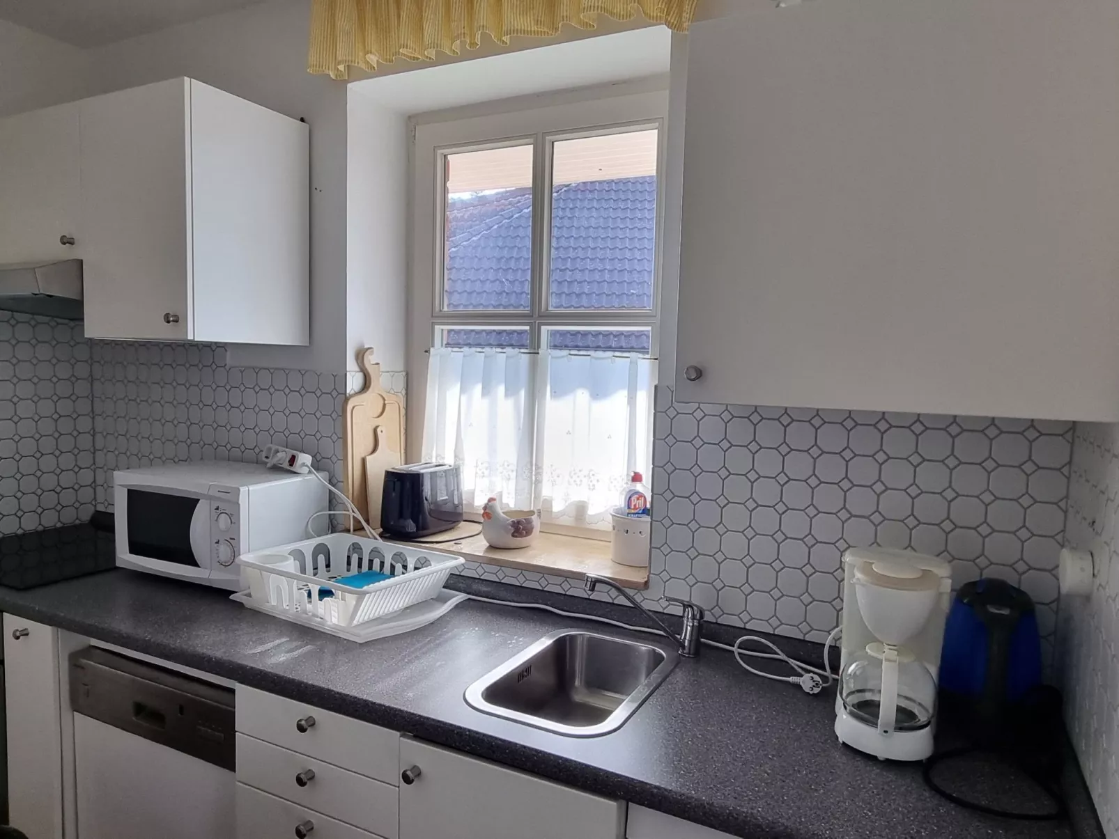 "Rosa Canina",W6-Image-tags.info