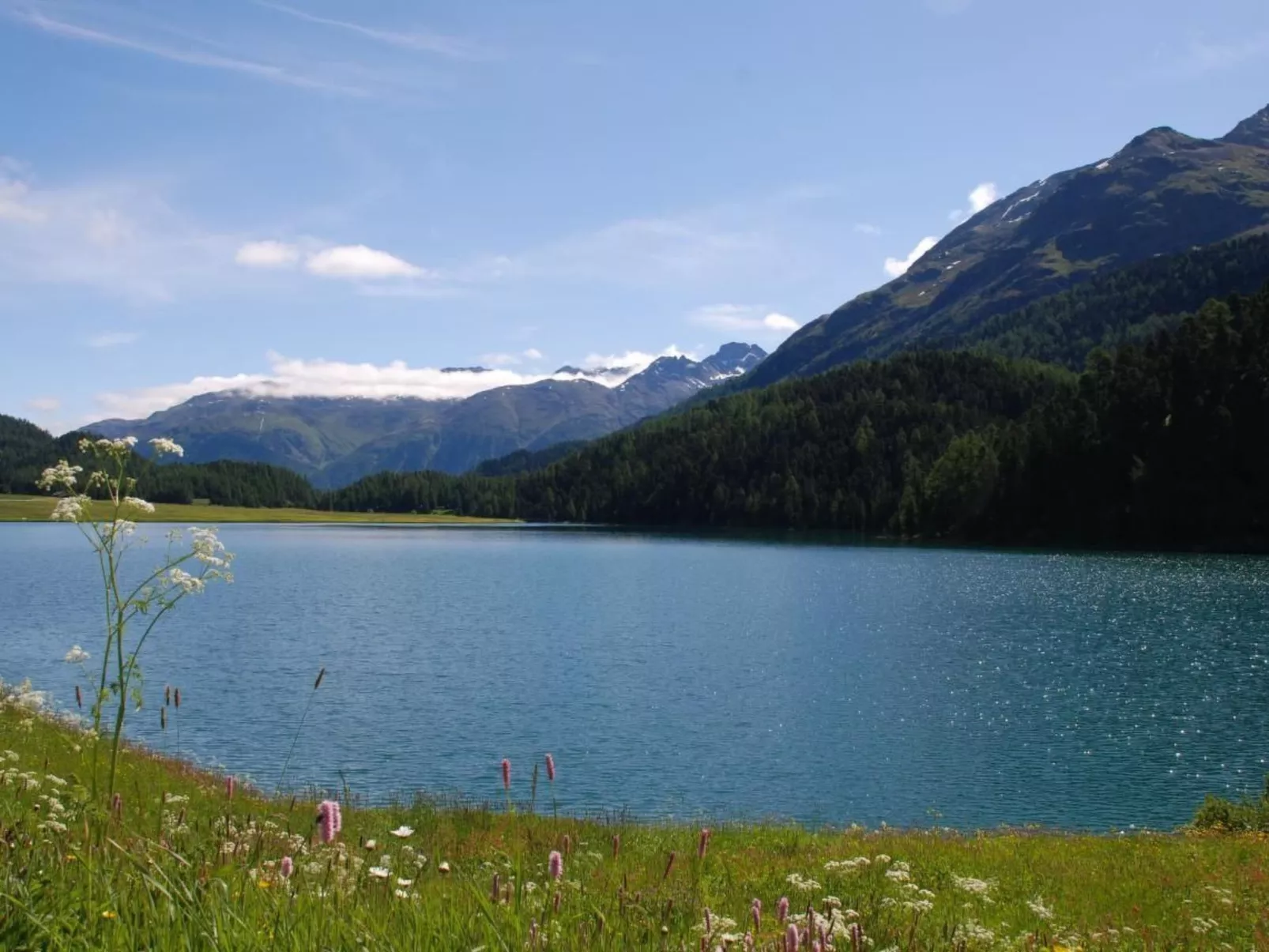 Chesa Arnica A5-Dedans