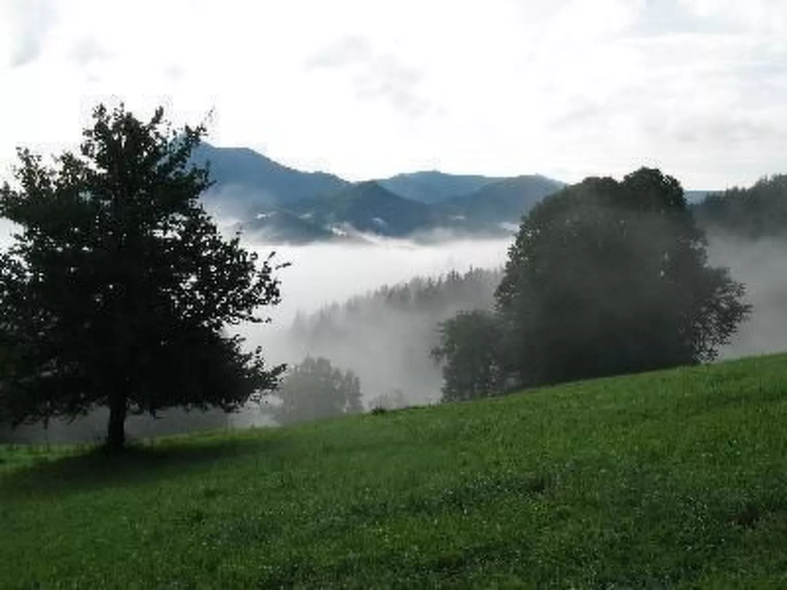Haus König FEWO-Dedans