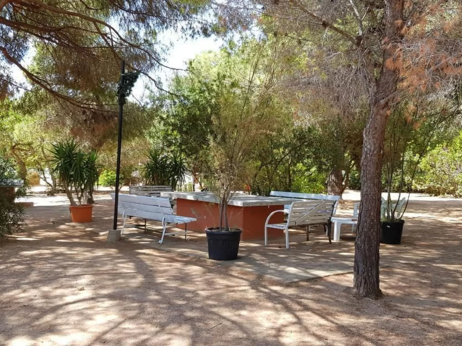 Mare e Pineta-Drinnen